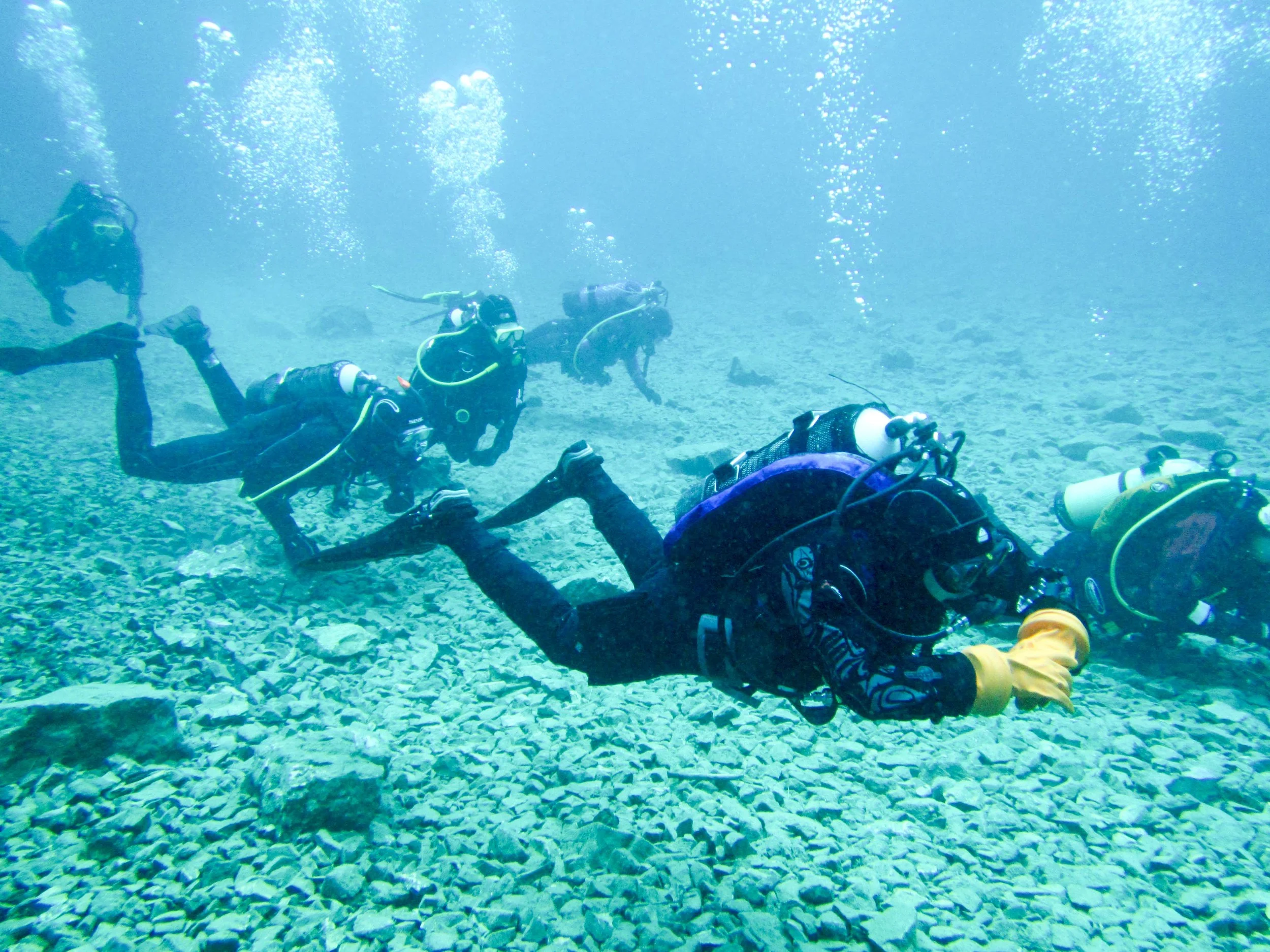 Swimming along the lake bed