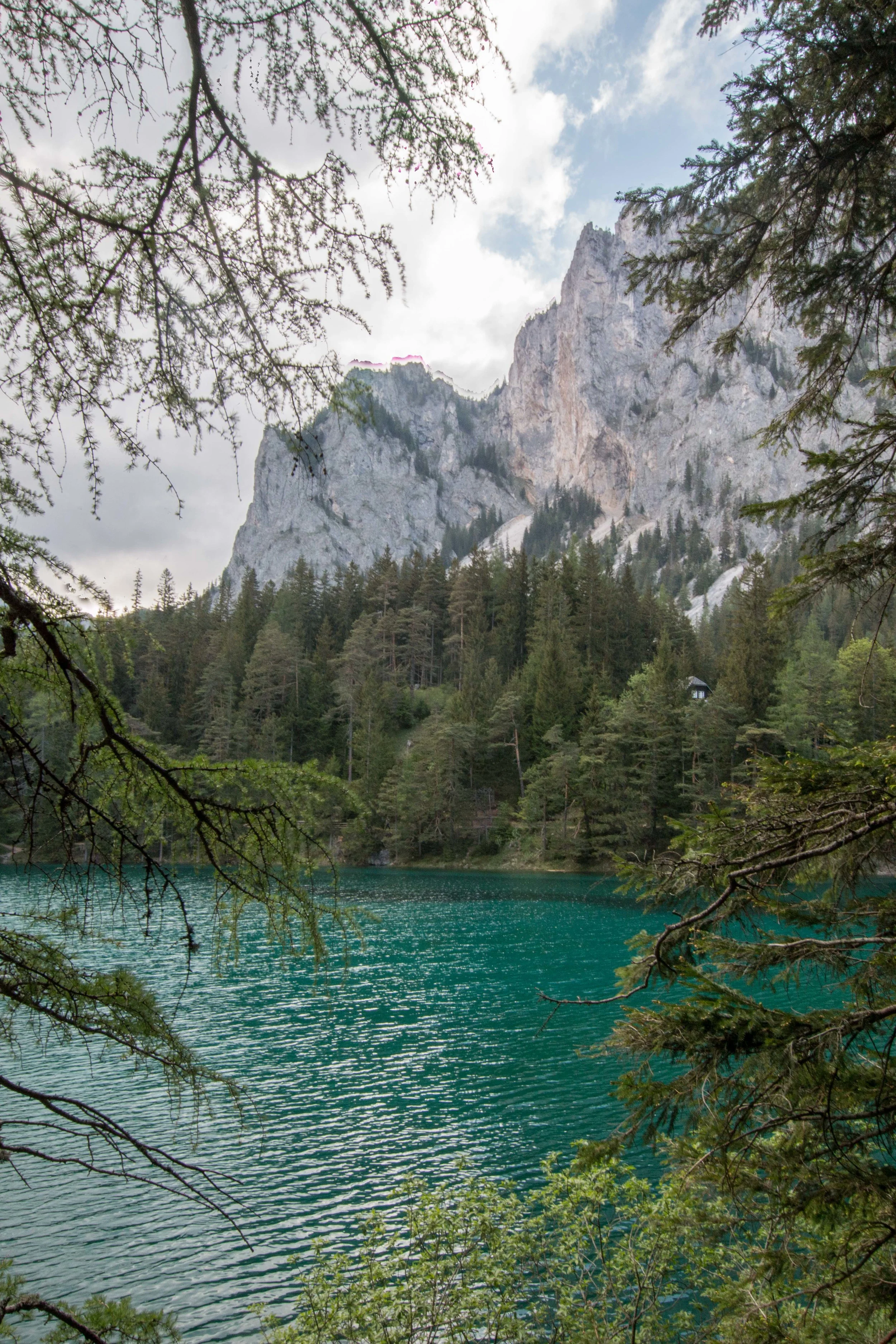 Yup, that's a mountain chilling right there. 