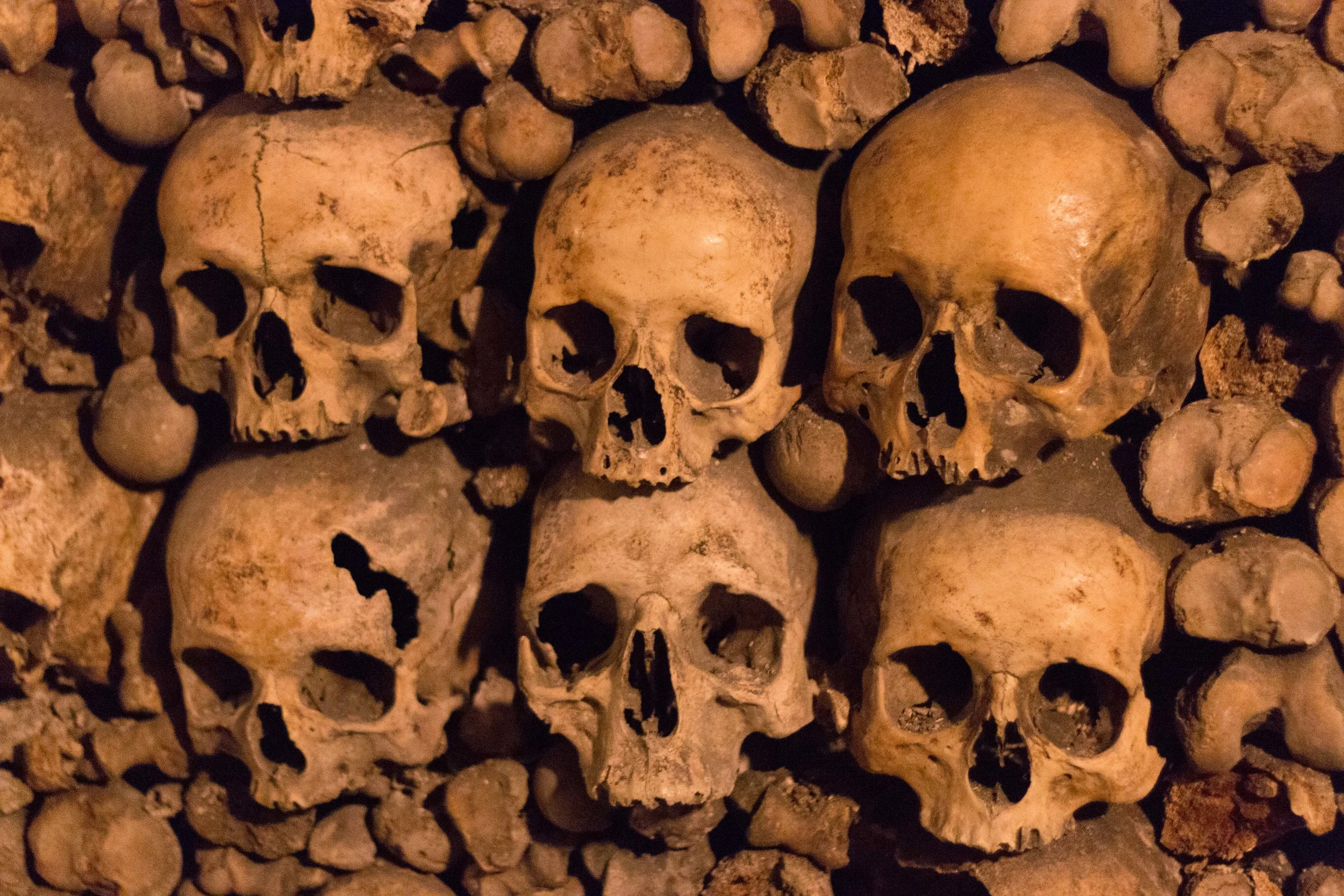 Skulls stacked within femurs