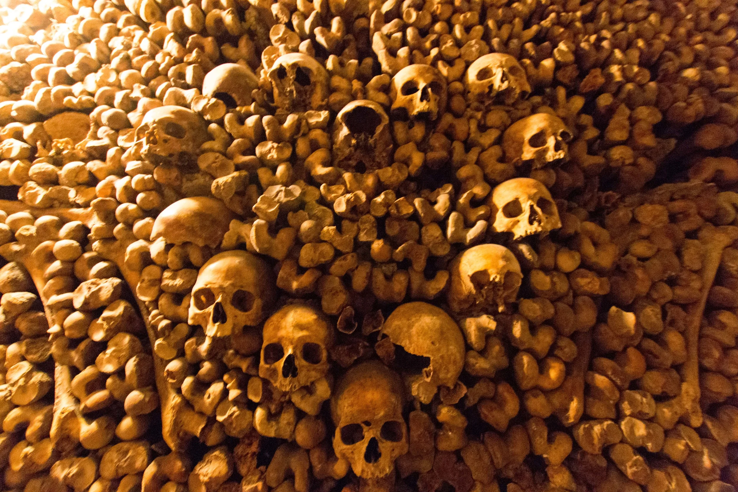 Skulls and Femur artfully DISPLAYED in a heart shape