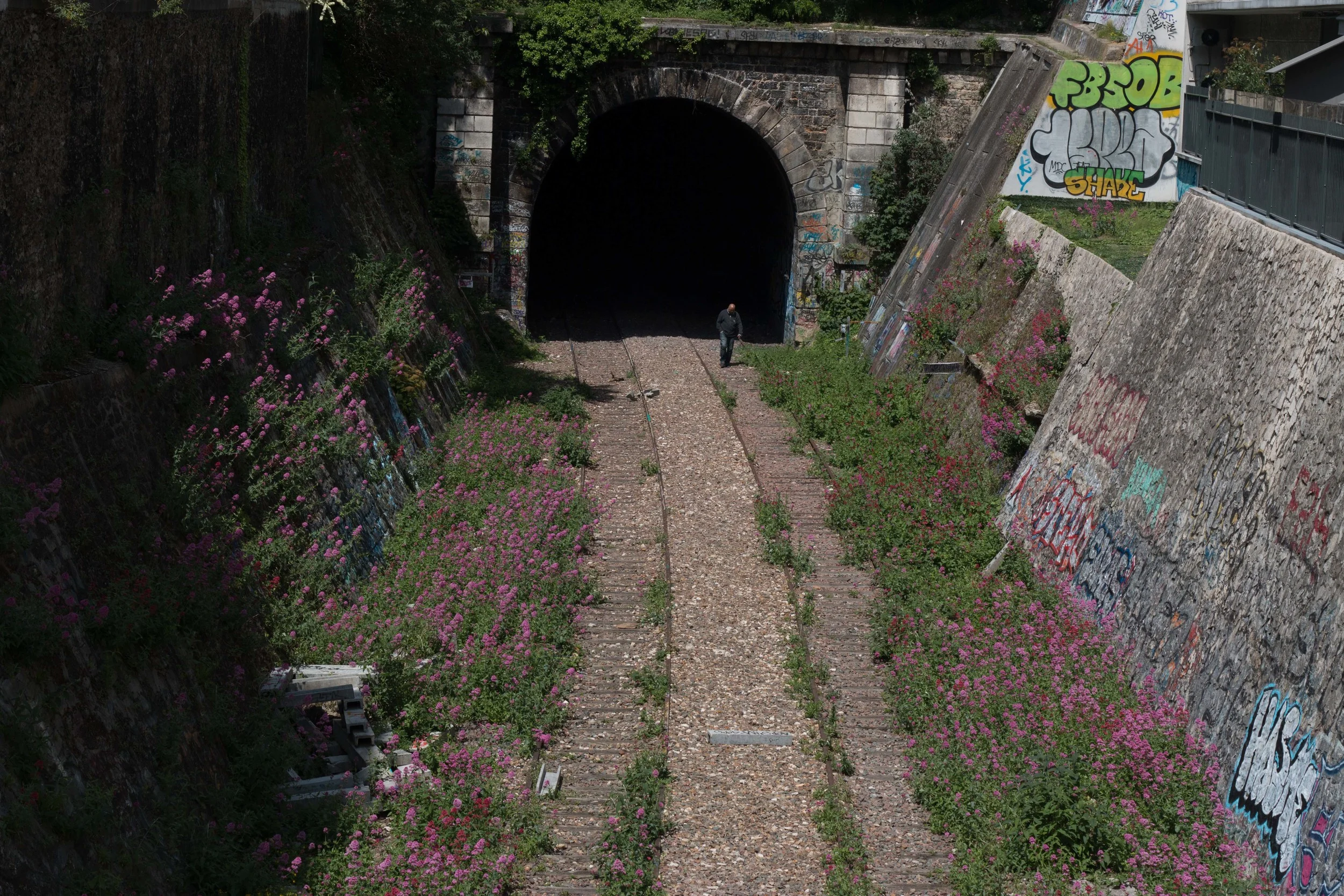 We went in search of abandoned tracks, but could not find the entrance.