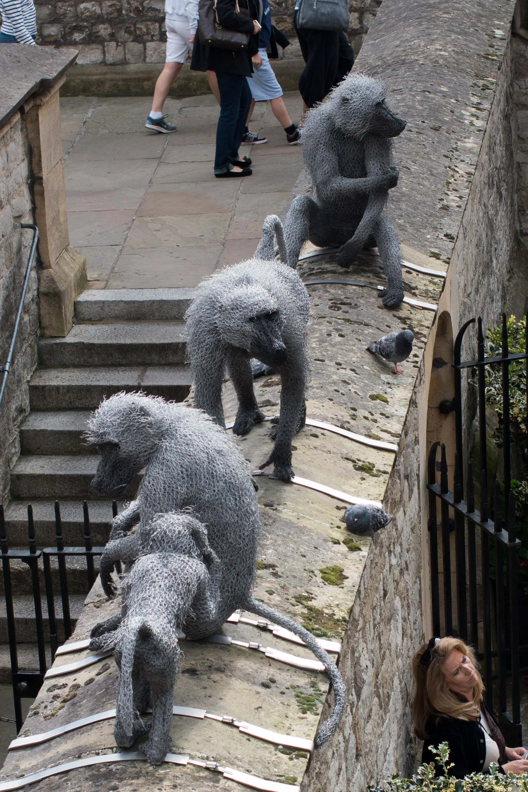 MOnkeying around on the walls
