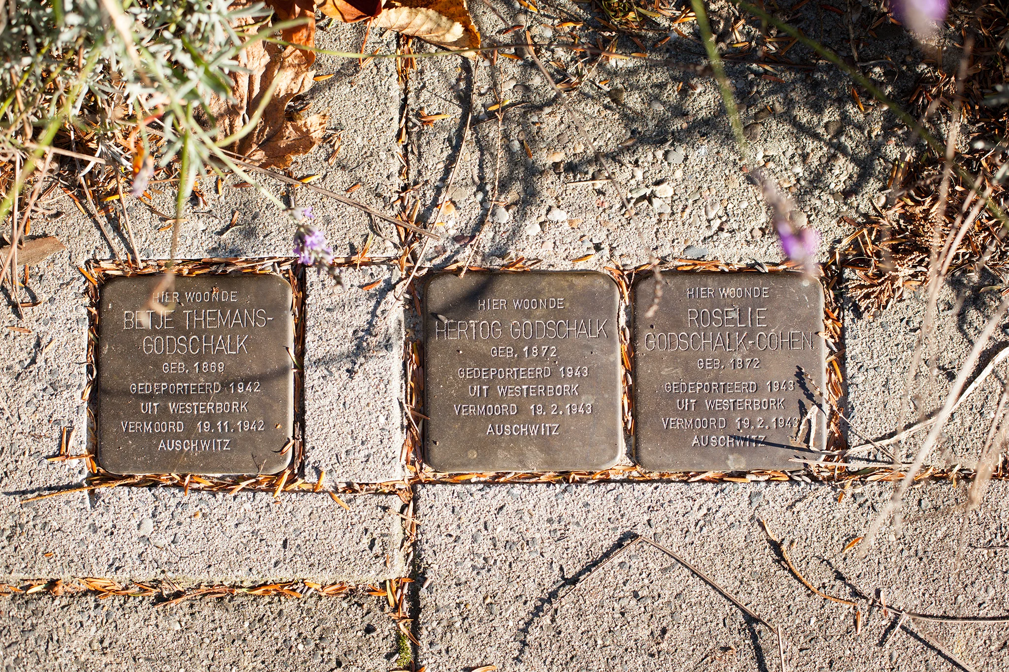 A family DEPORTED between 1943 and 1943 to Westerbork from Assen, the Netherlands. THey were all eventually murdered in Auschwitz. It's heartbreaking to see couples, and entire FAMILIES, murdered on the same day, likely the day they arrived at the concentration camp. IMAGE COURTESY OF SARAH HUGGARD PHOTOGRAPHY