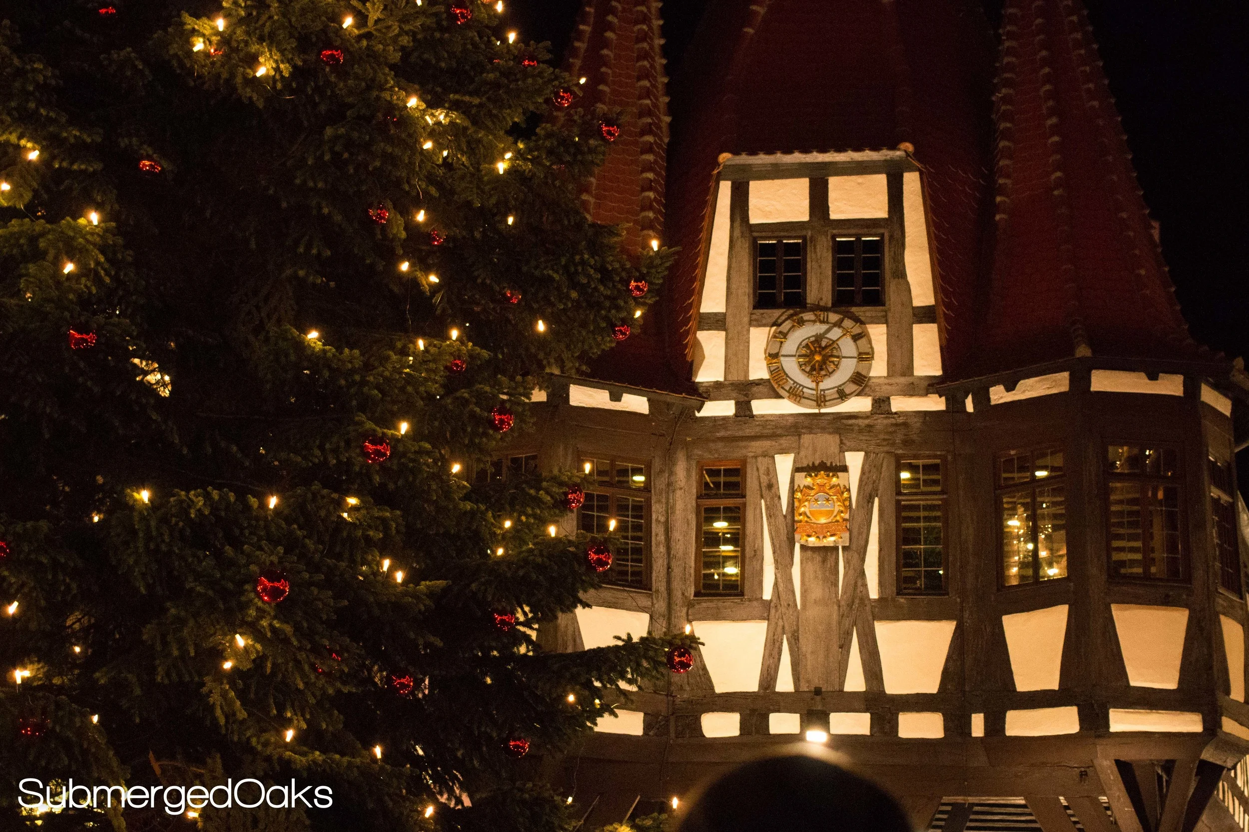 Rathaus with giant pine tree decorated for Christmas