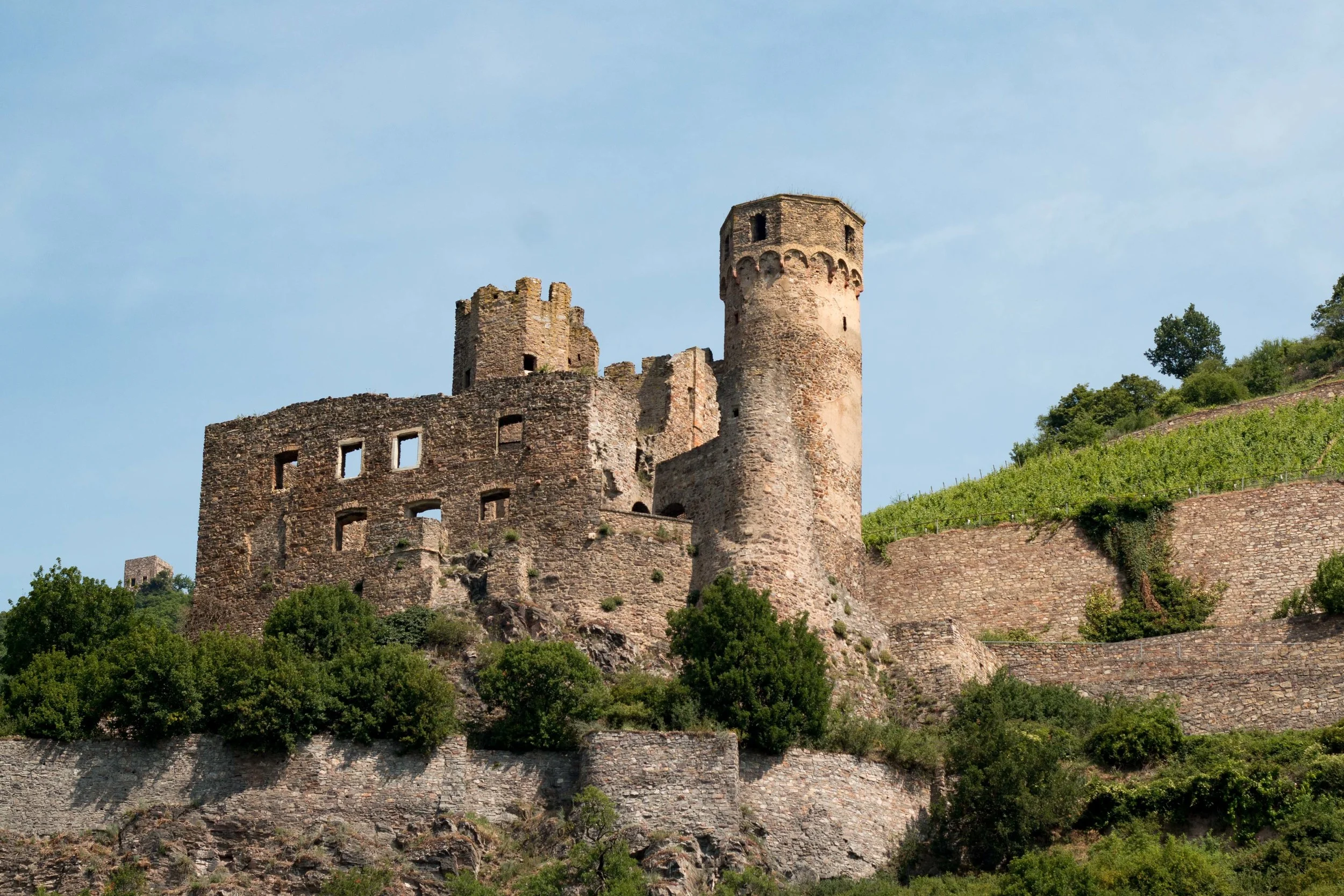 Castle Ruins along the Rhein River