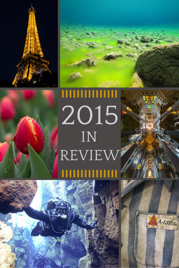 2015 in Review