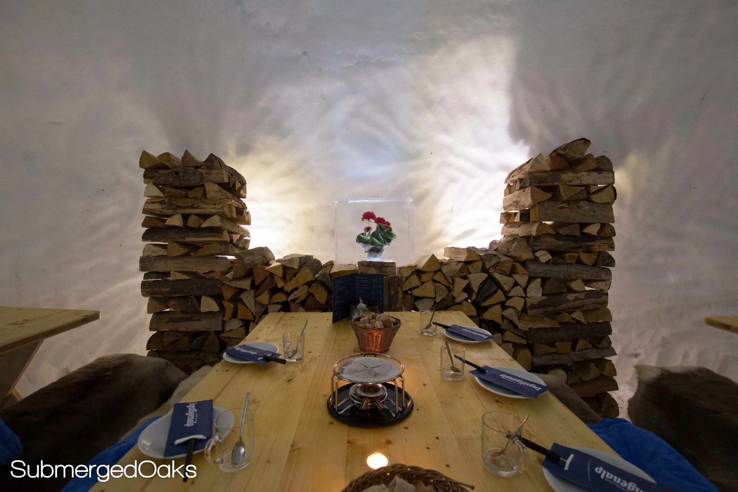 espite the firewood, there was no fire in the Igloo (for the OBVIOUS reasons), but the rose ENSCONCED in ice was beautiful