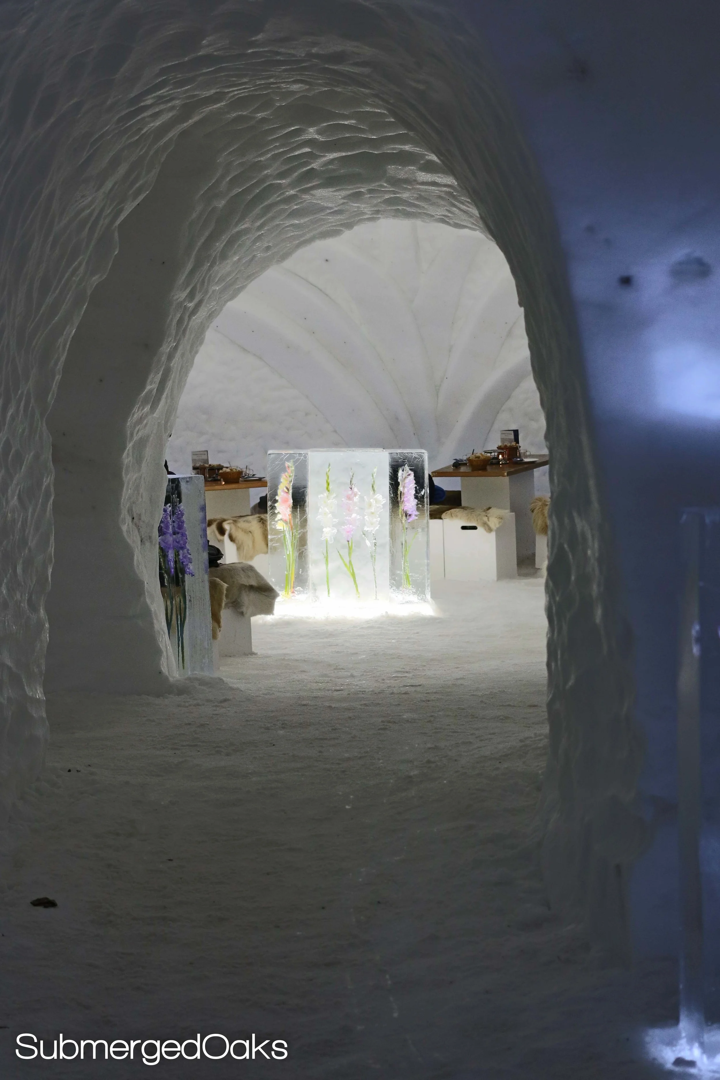 Tunnels in the igloo leading to different rooms