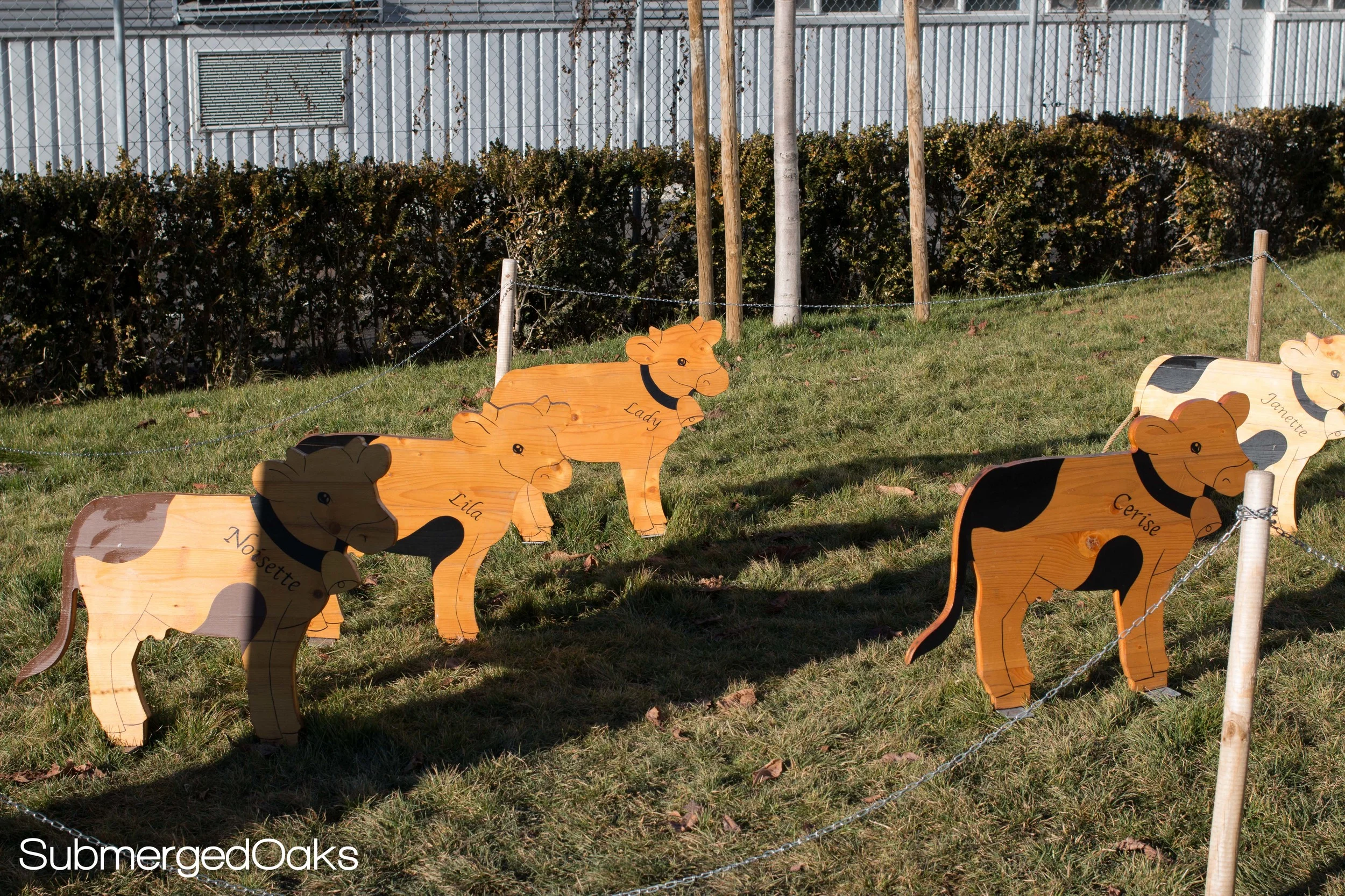 Each cow is named :)