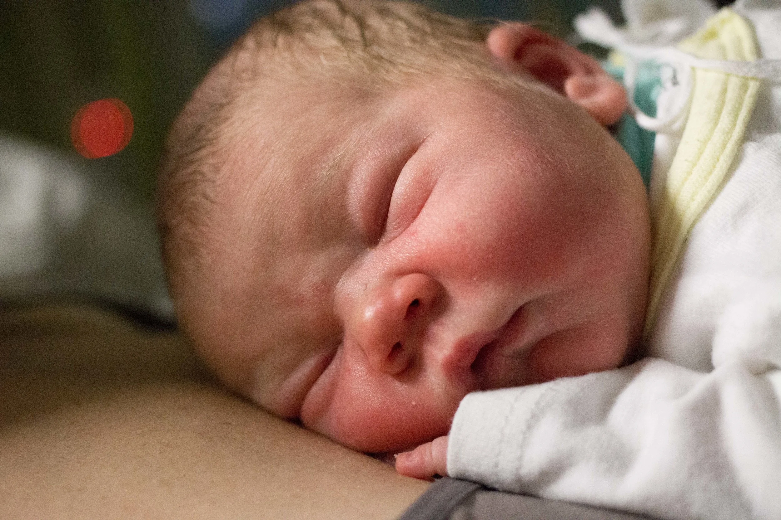 6 hours old