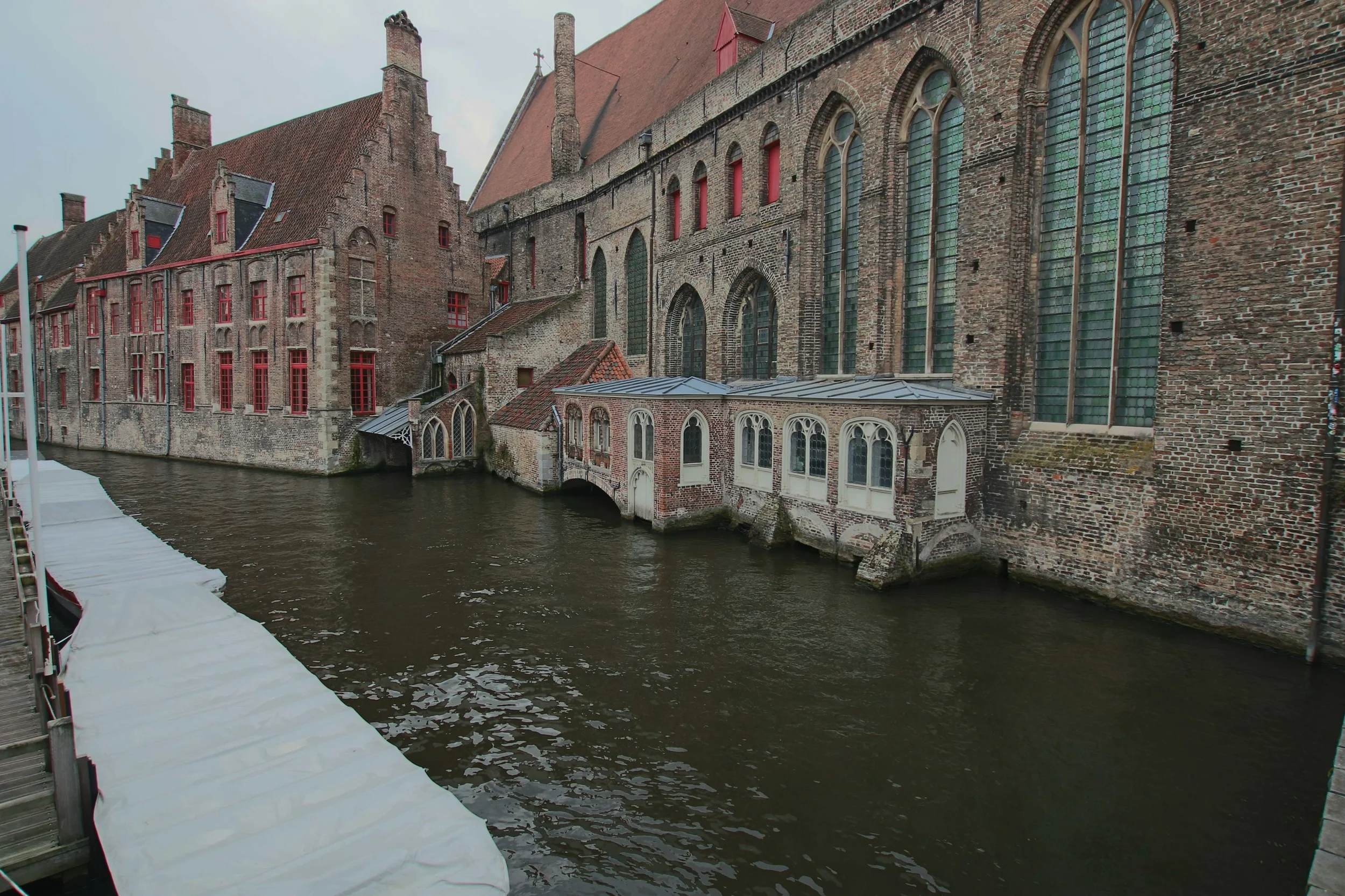 IMG_8878.jpg