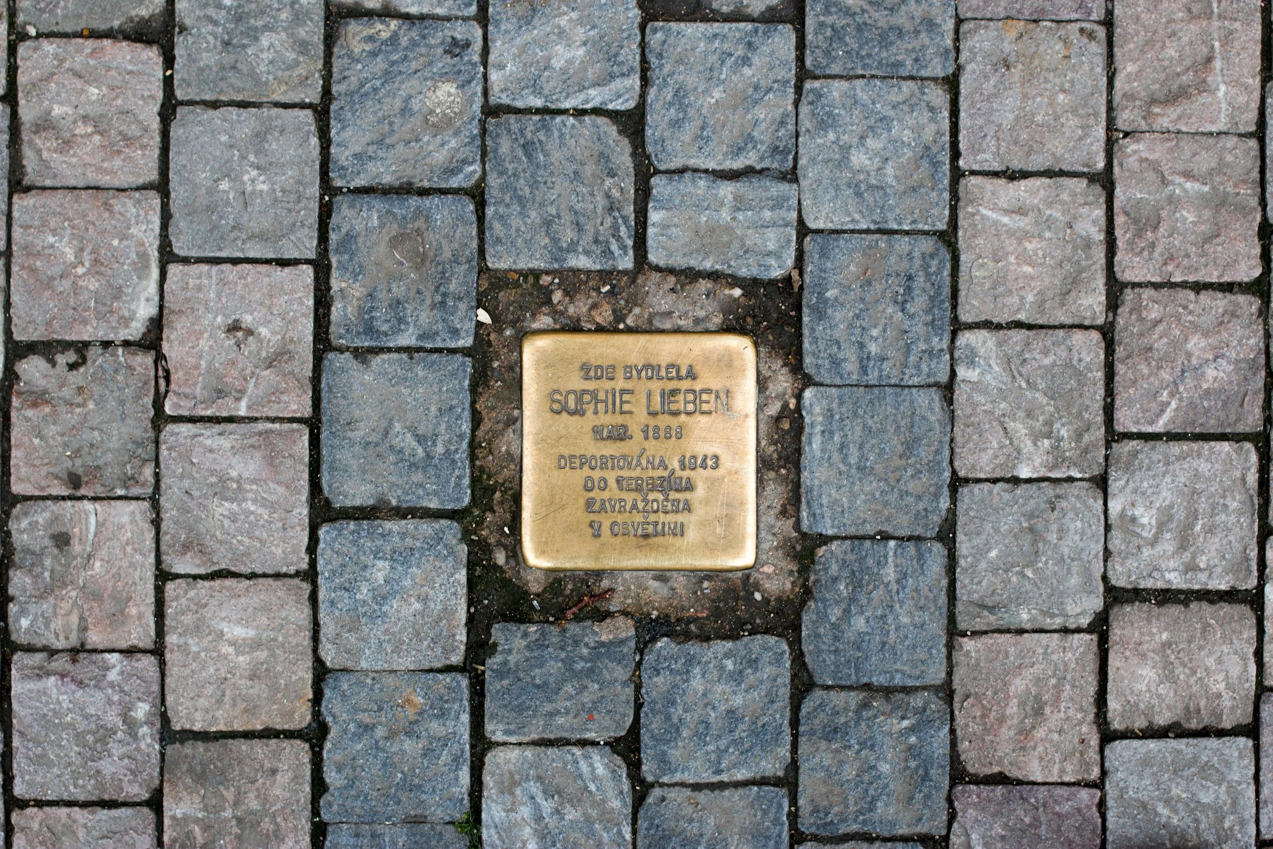 Prague. Sophie was deported to Theresenstadt in 1943 and then Auschwitz.