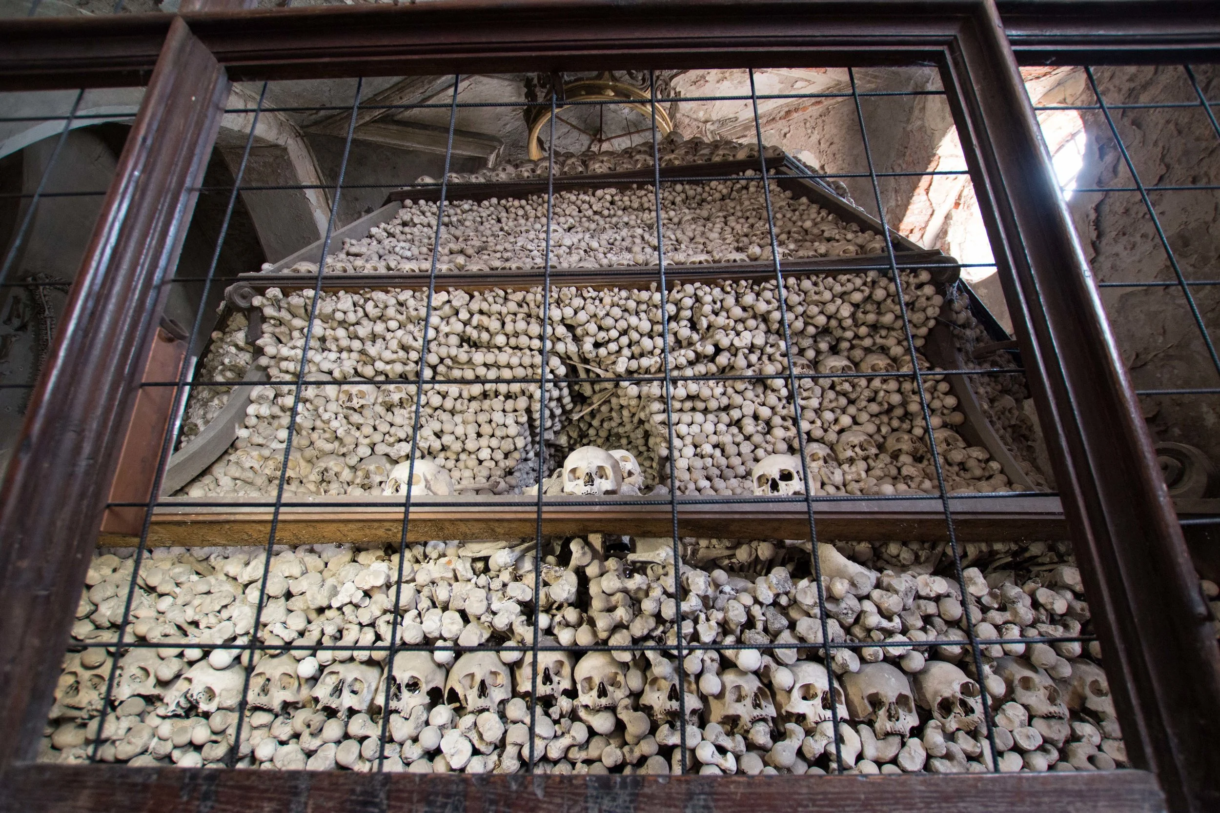 thousands of skulls, femurs, and long bones piled high