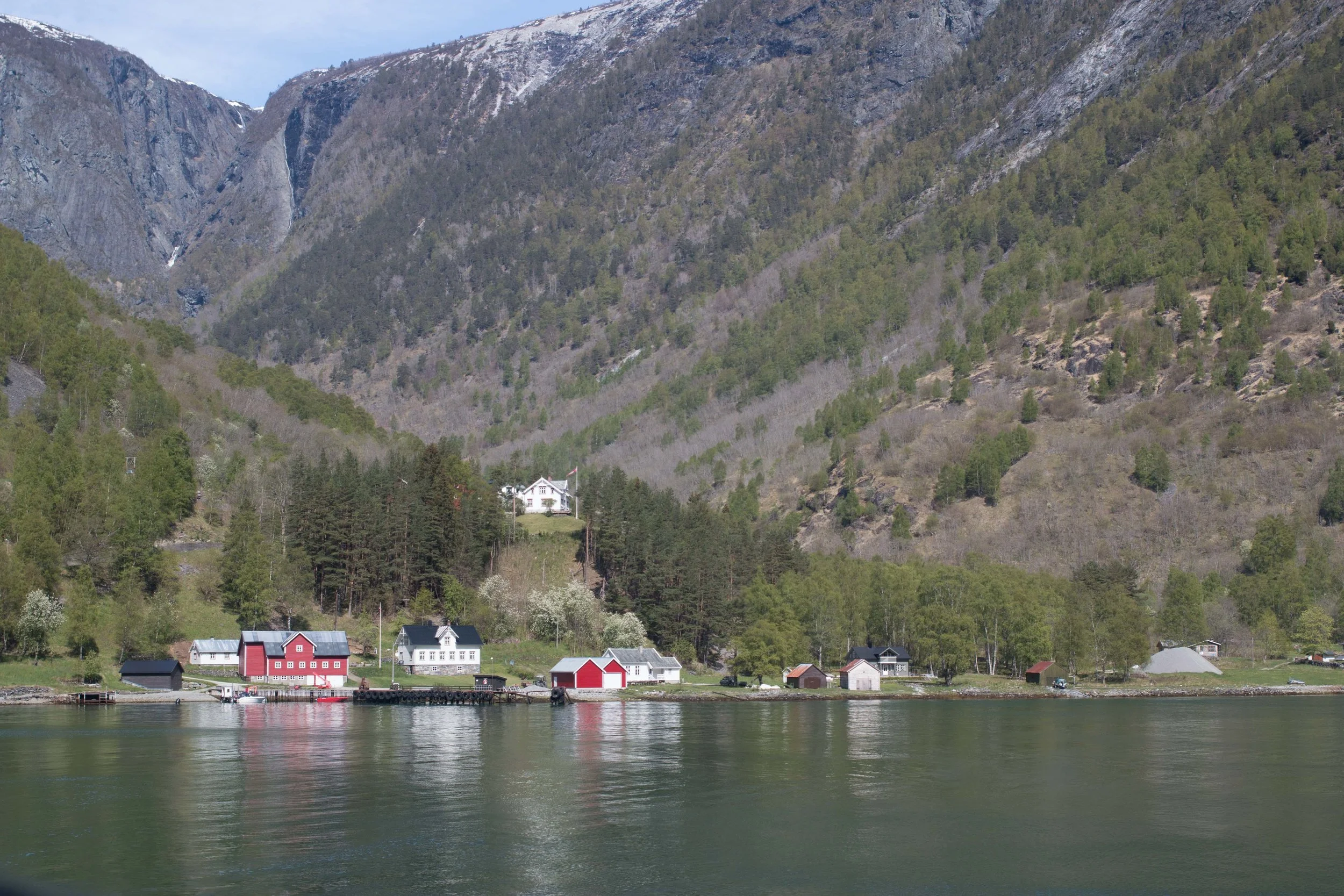 norway in a nutshell_submergedoaks.jpg