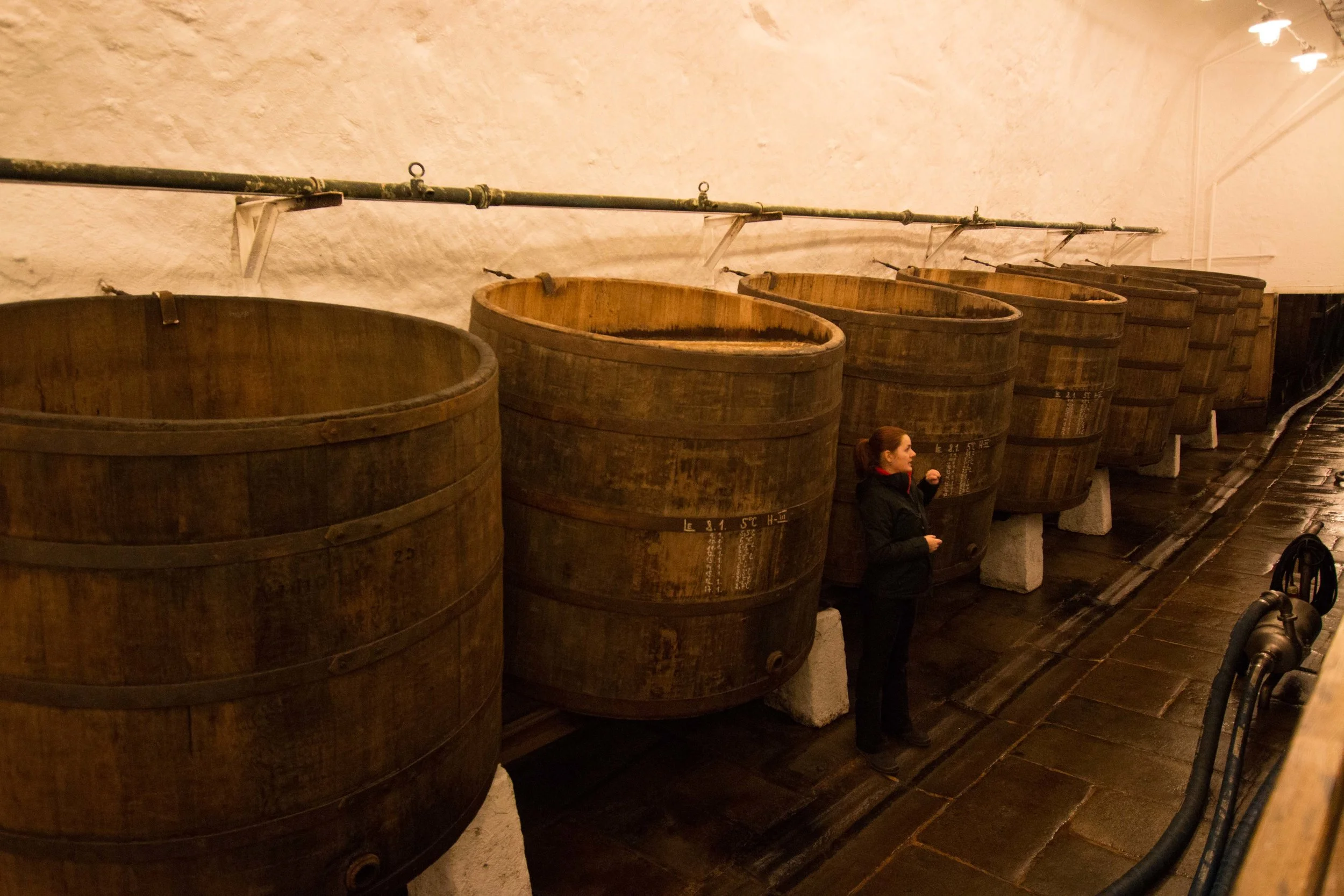 Barrels of open-top fermented PIlsner Urquell!