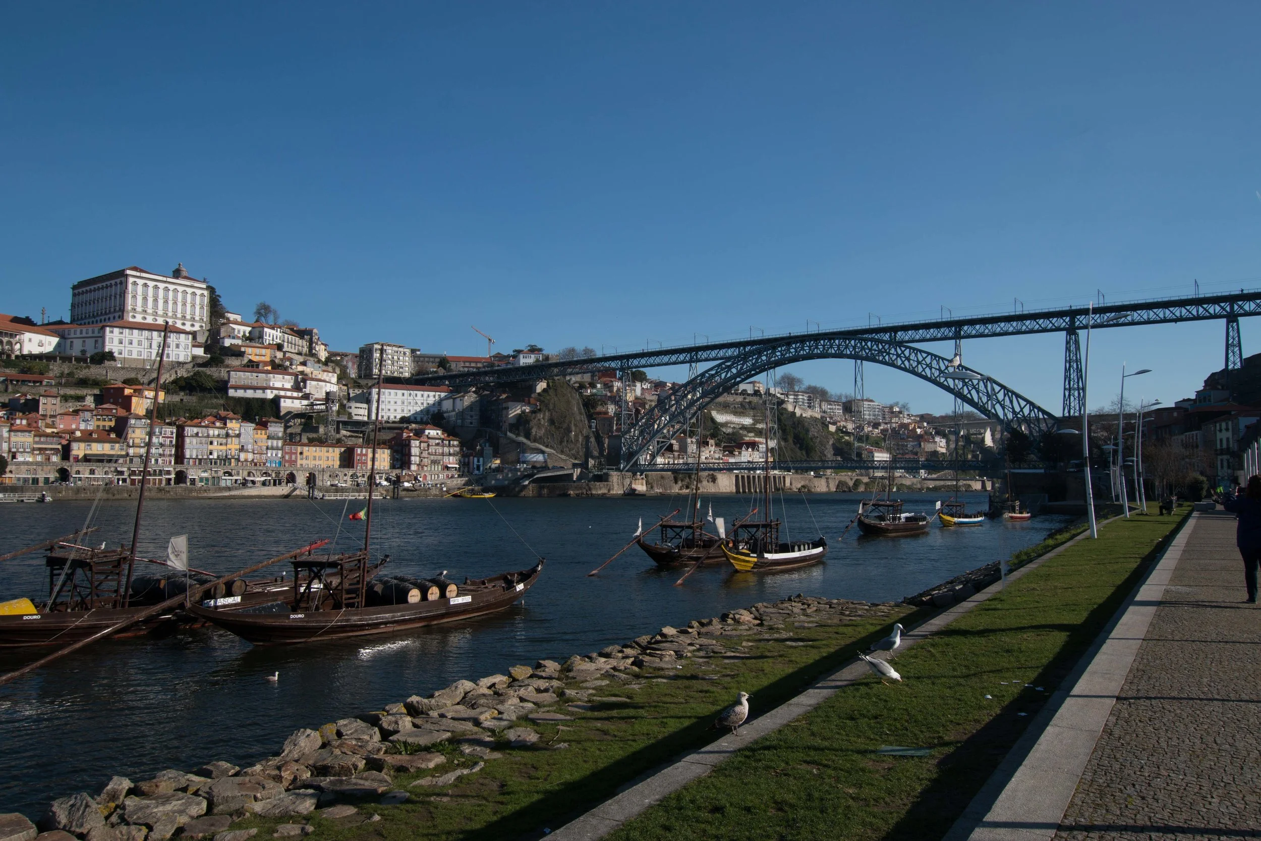 Rabelo boats moored on the Duoro
