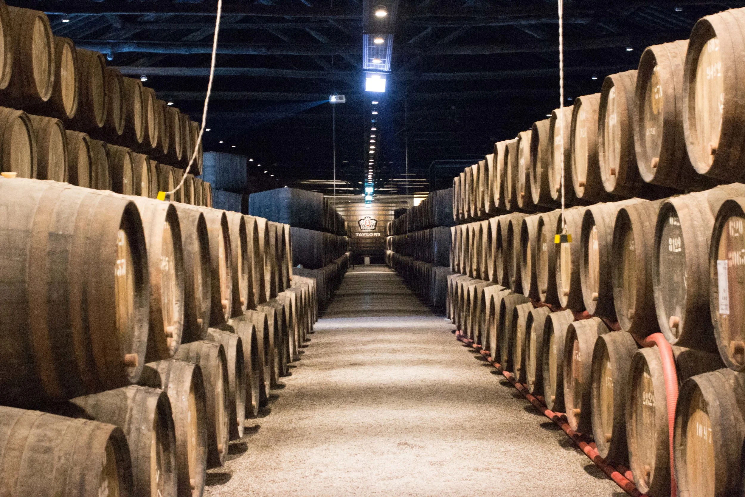 Port wine barrels stacked three high; Porto