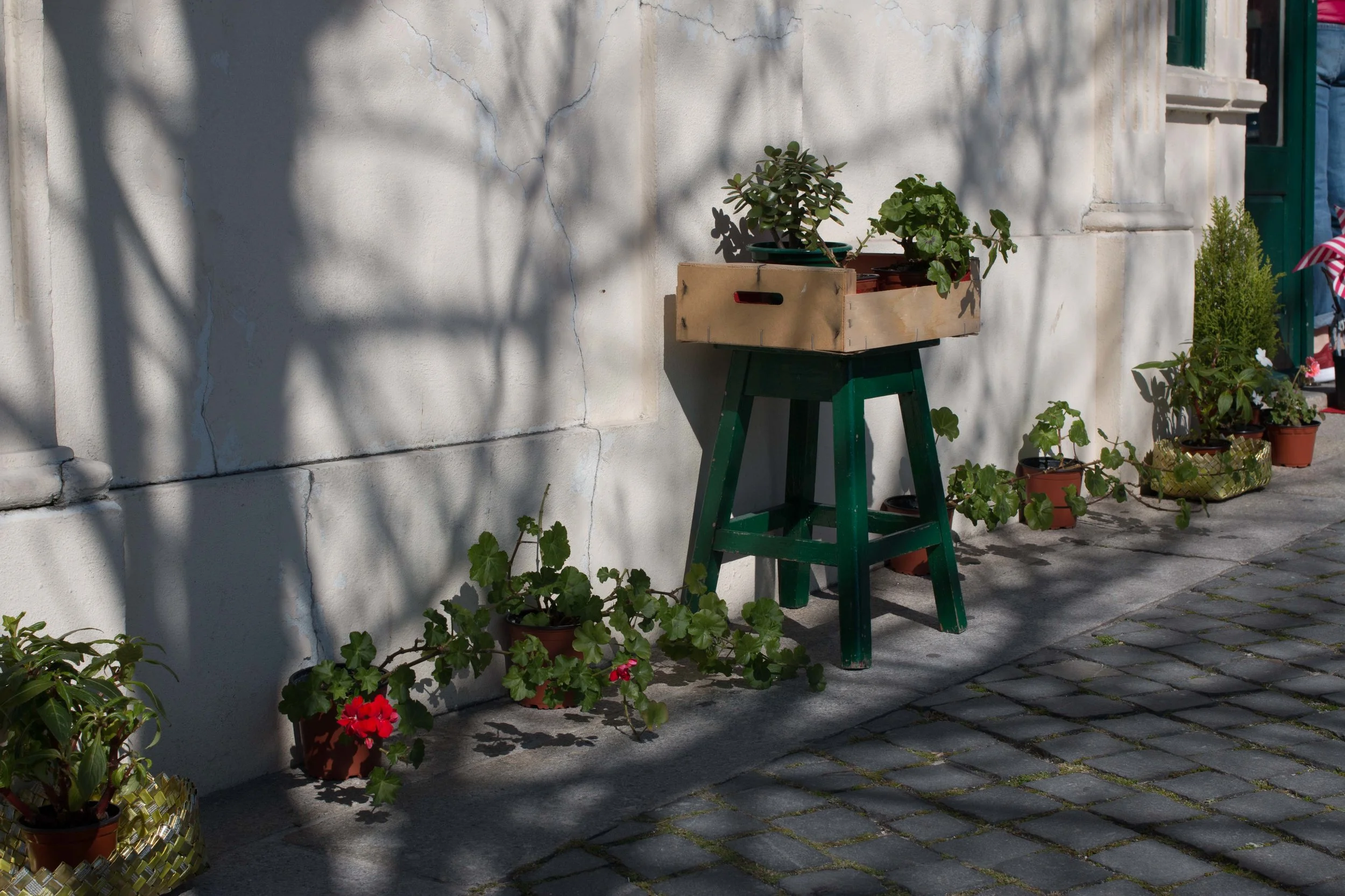 Sidewalk Flowers; Porto