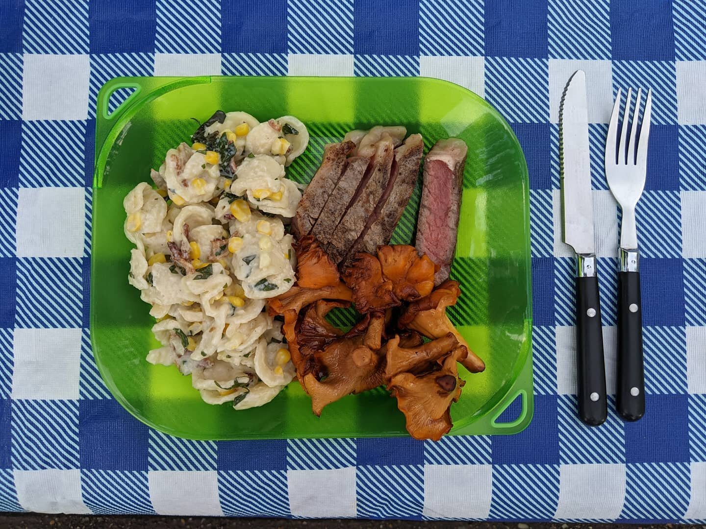Ribeye with sauteed chanterelles that we foraged on our 7mile hike today and orrichetti with corn and bacon for a side. Who said you can't eat gourmet while camping?! 

#camping #lovistatrail #wildmushrooms #foraging #arkansas #lakeouachita