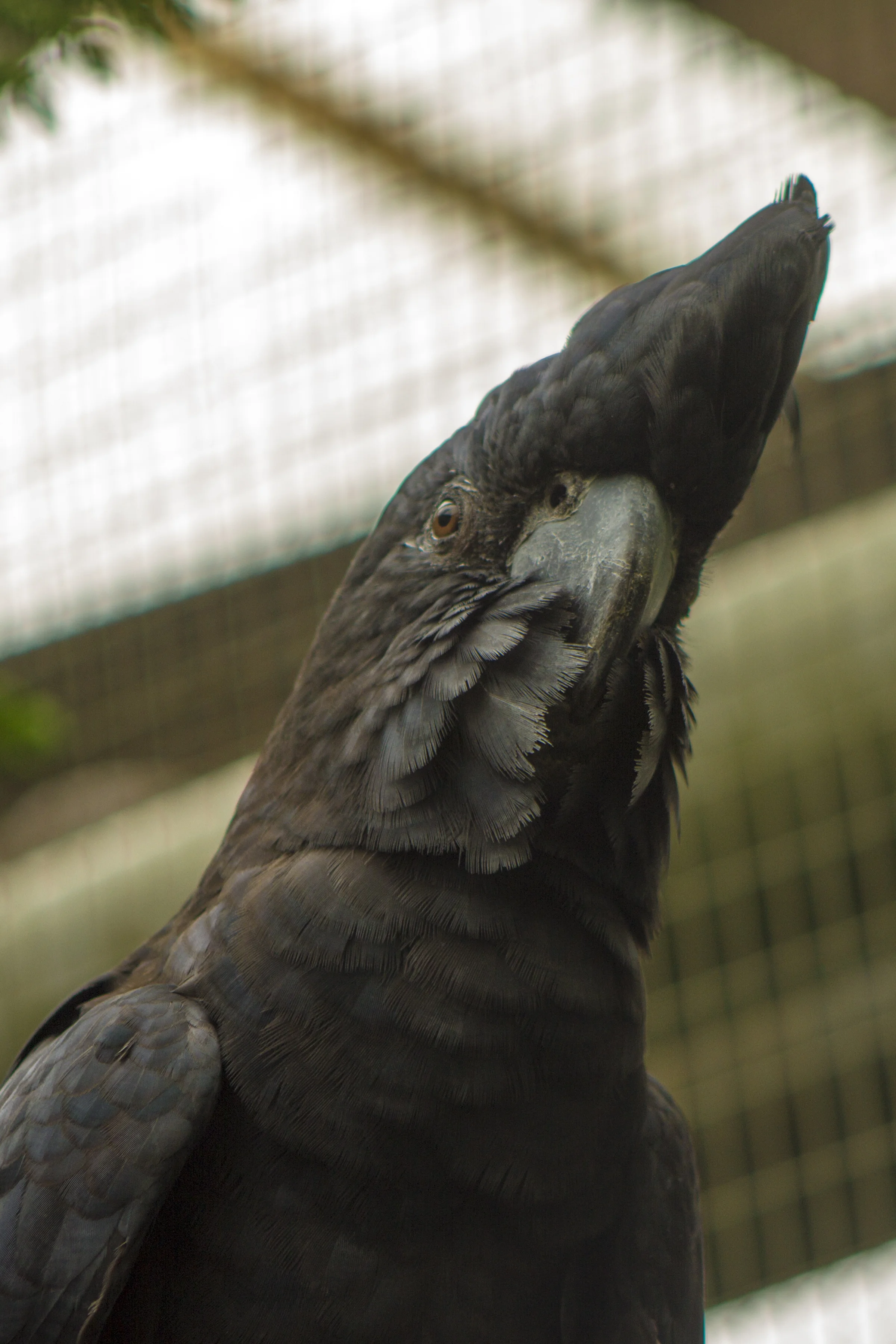 _MG_6532.jpg