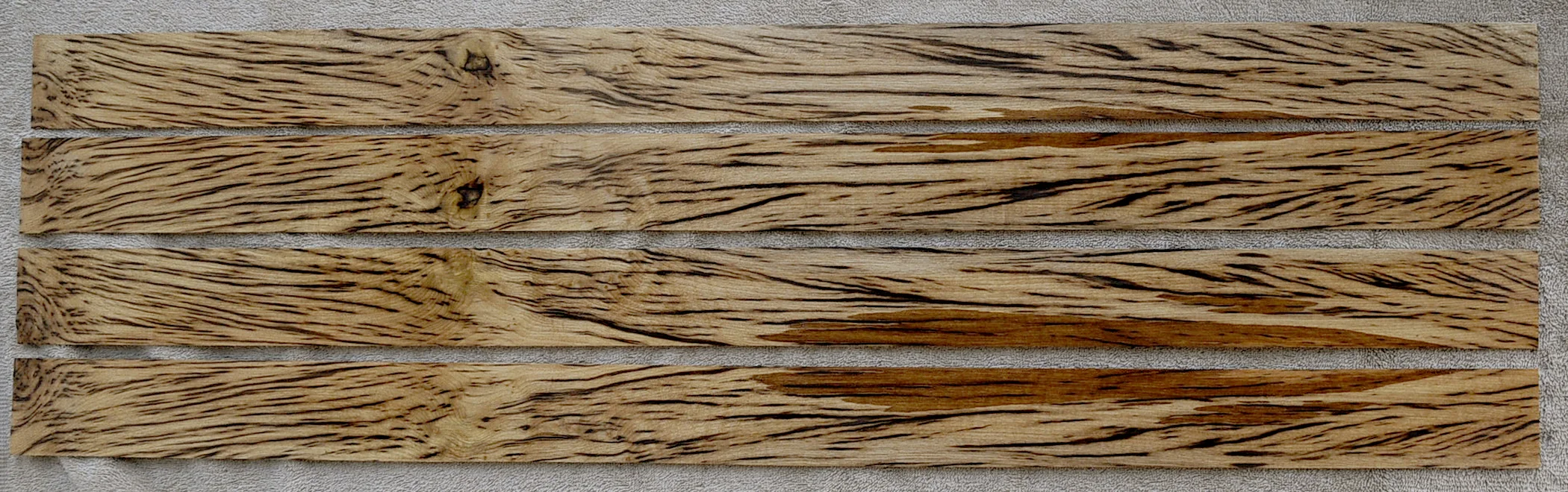 tigerstripemyrtle1076.jpg