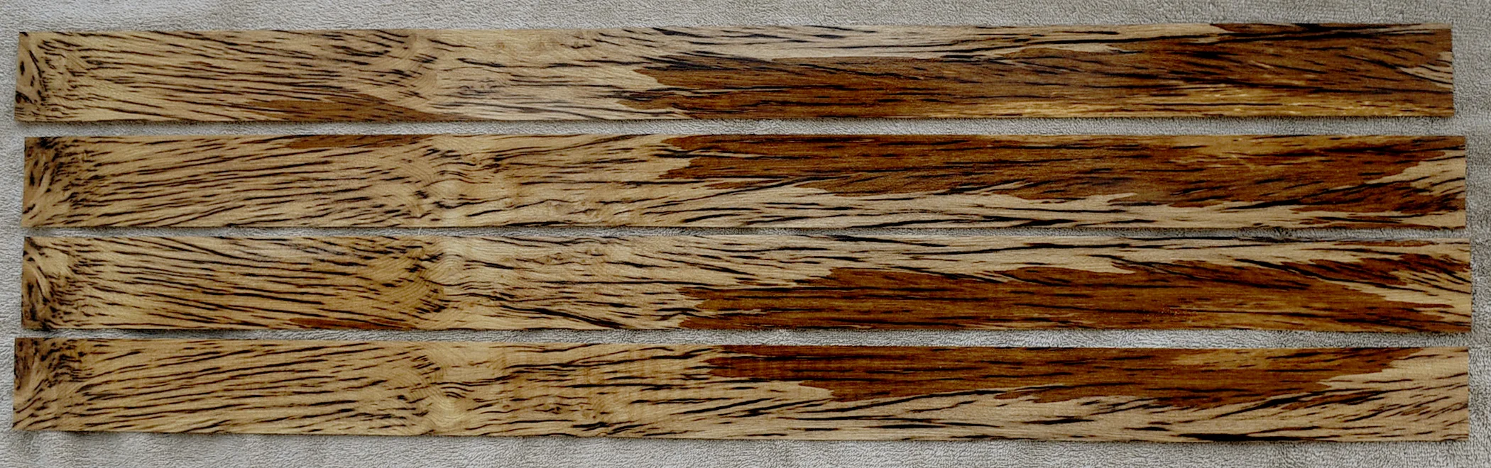 tigerstripespaltedmyrtle1077.jpg