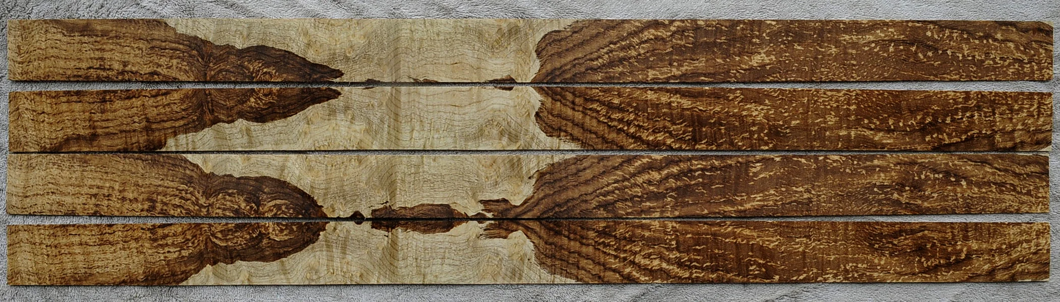 spaltedmyrtle2026.jpg