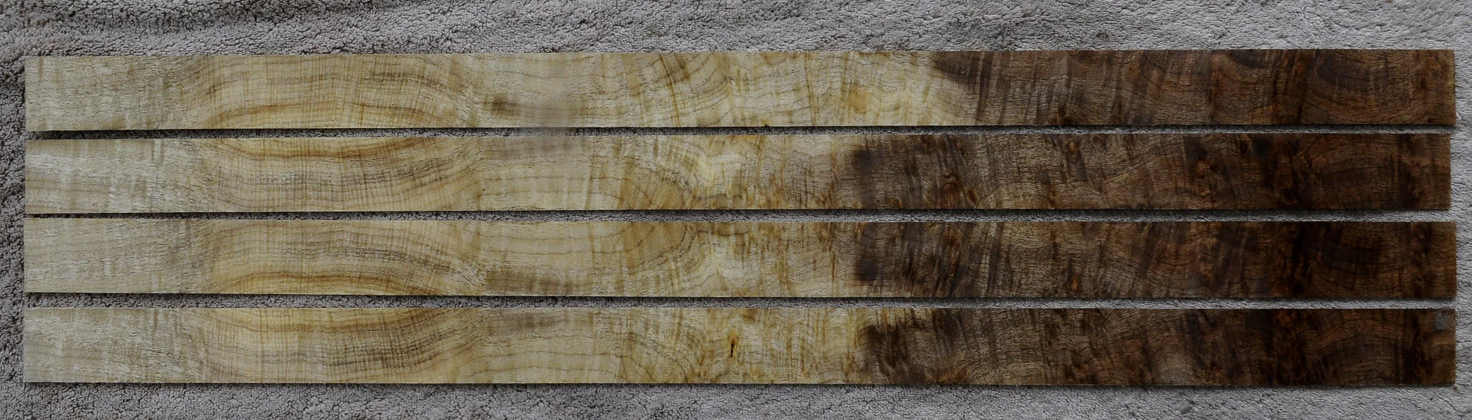 curlymyrtleburl2042.jpg