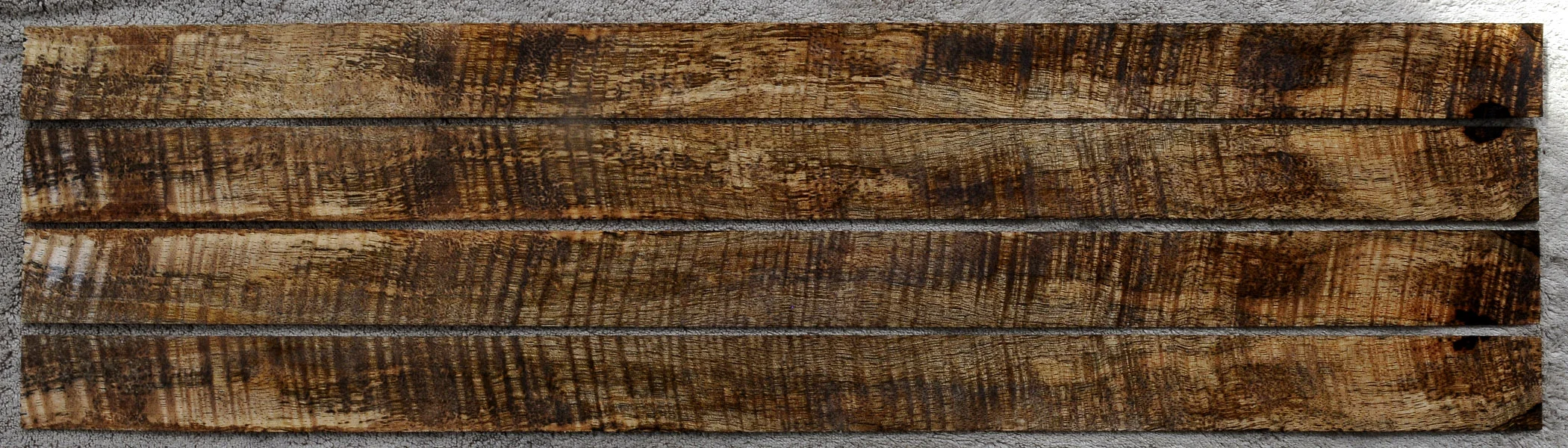 chocolatecurlyspaltmago2046.jpg