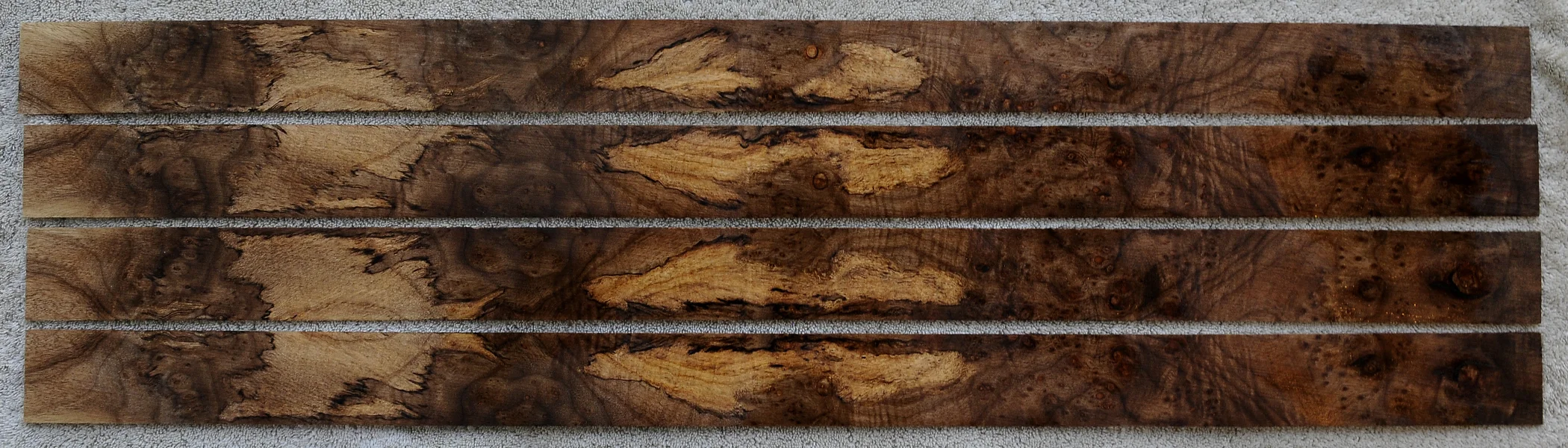 spaltedmyrtle2.jpg