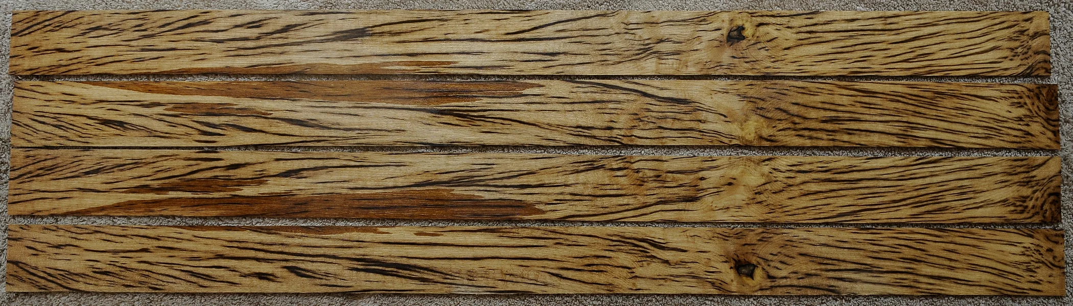 tigermyrtle2.jpg