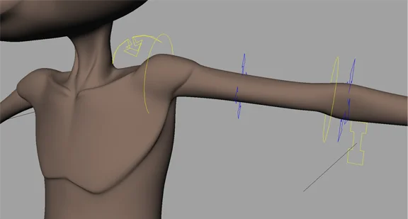 Clavicle and shoulder. The shoulder control drives the clavicle and automated scapula joint in the back. The three move in unison to create the best possible representation of an anatomically correct shoulder and provide the cleanest deformations possible.
