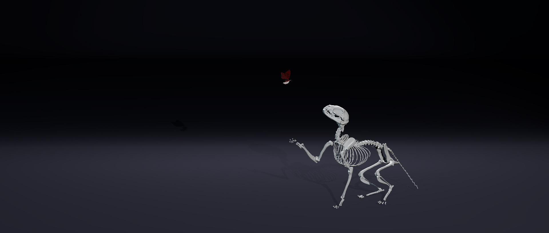 skeletonSim.0001.jpg