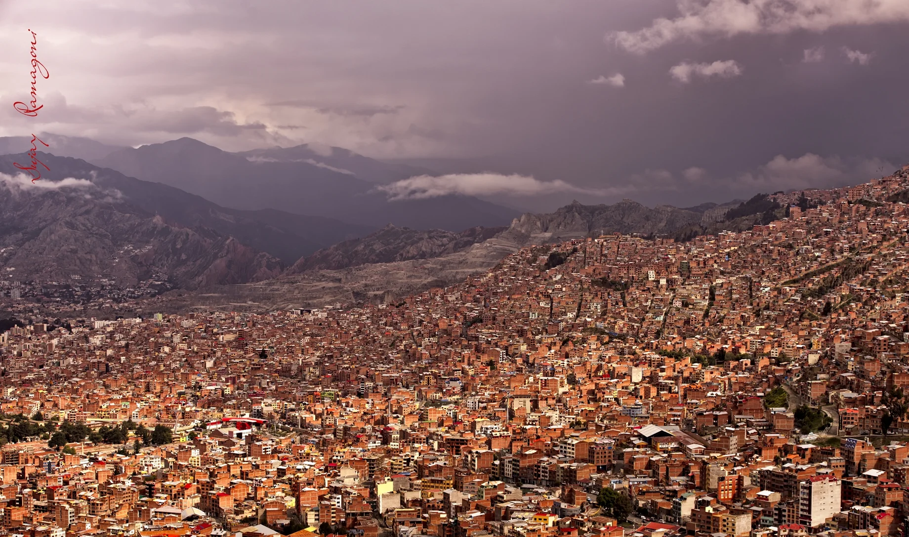 BOL_020M.jpg