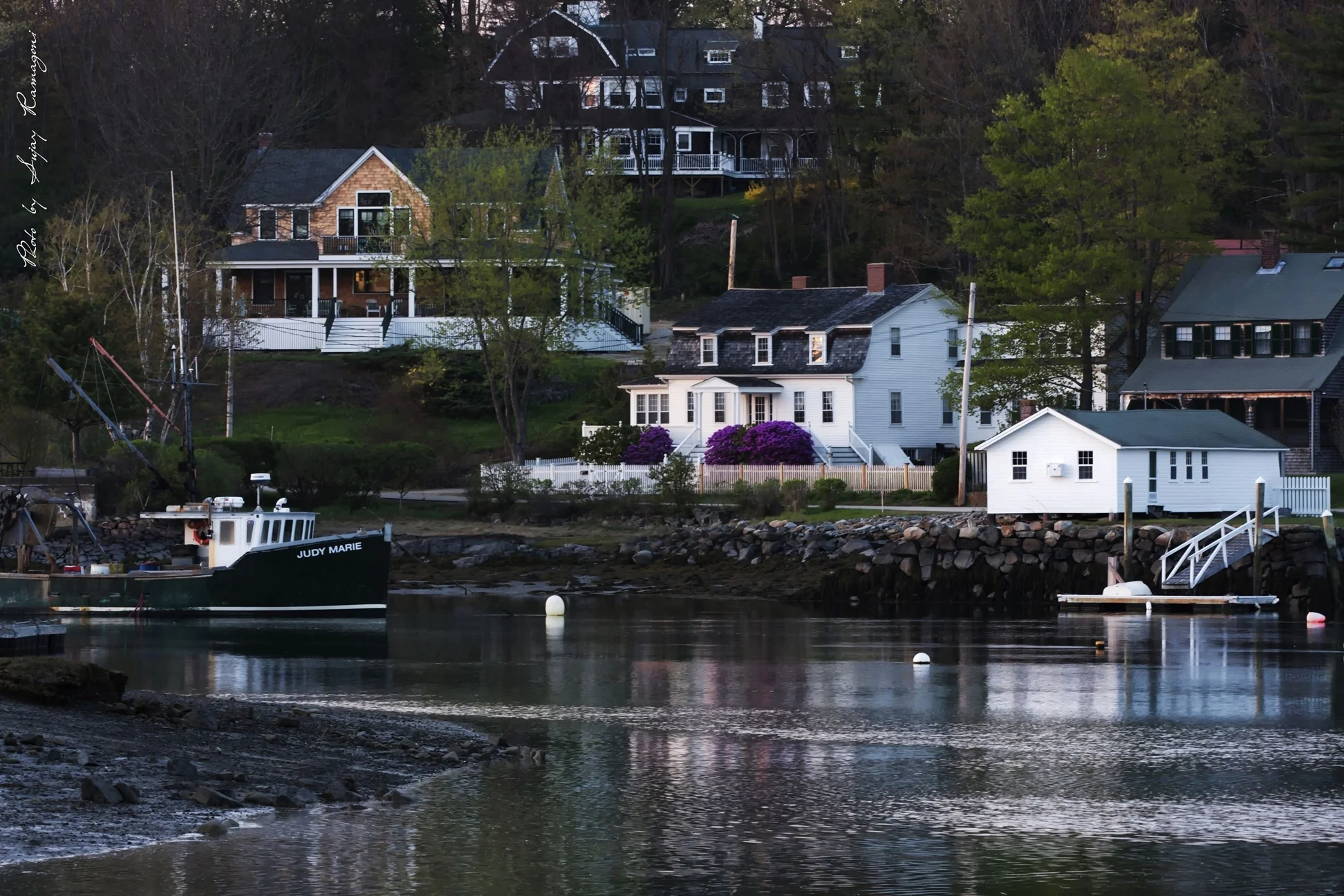 maine_001.jpg