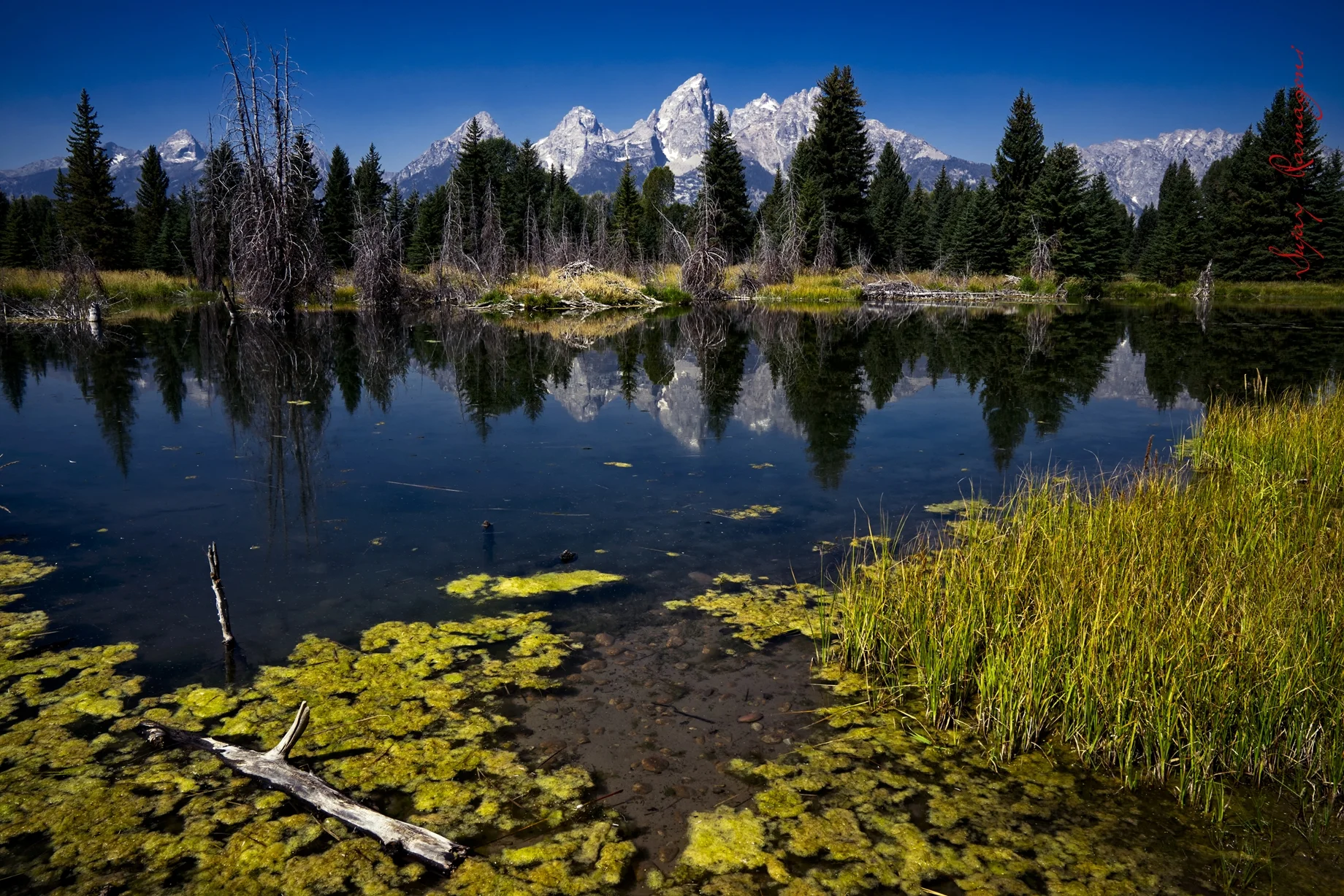 TETONS_001M.jpg