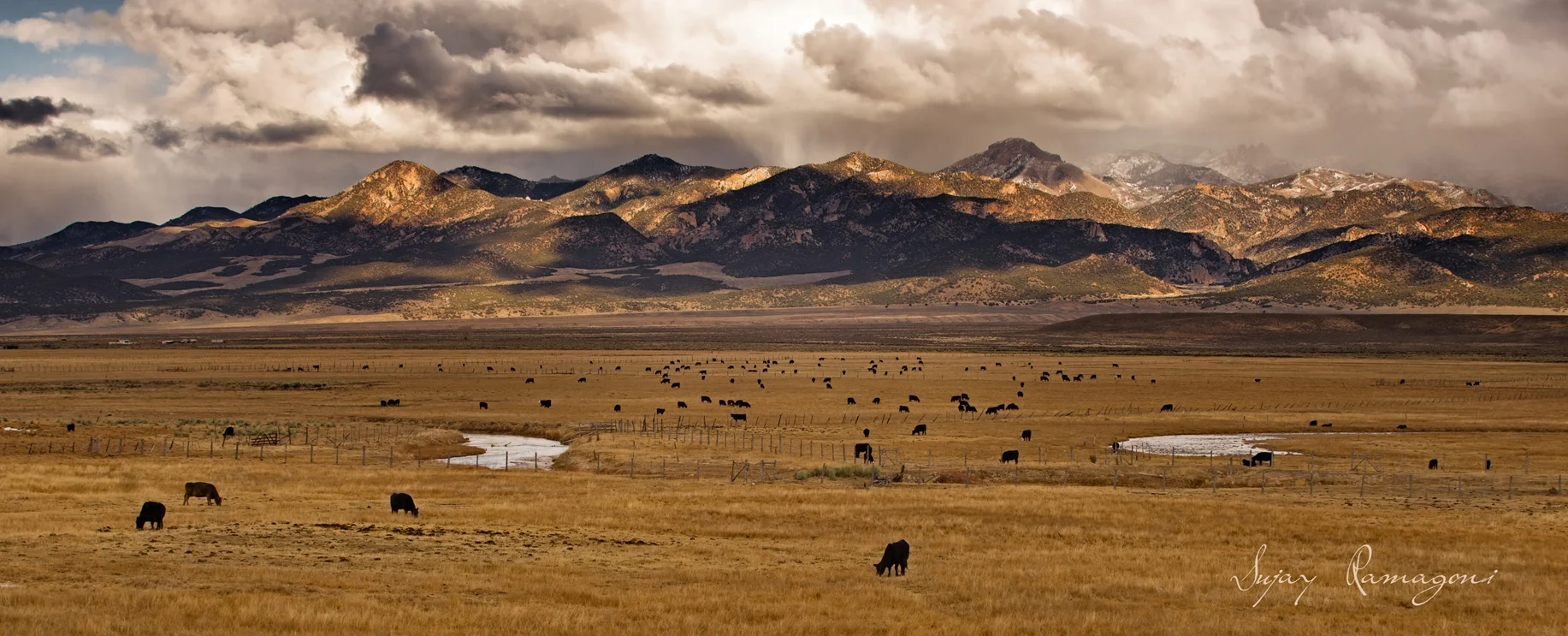 UTAH_001m.jpg