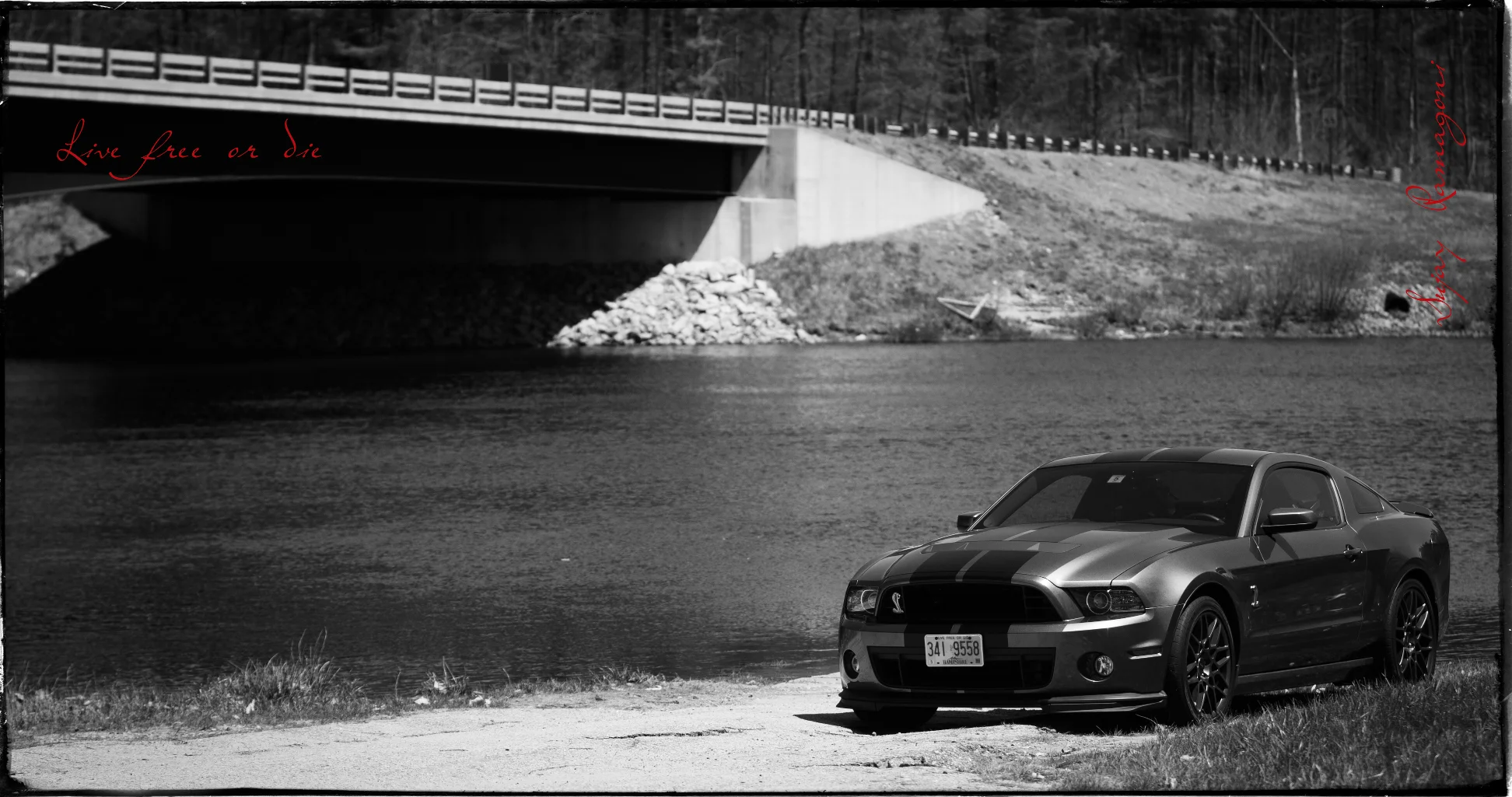 SHELBY_0100M.jpg