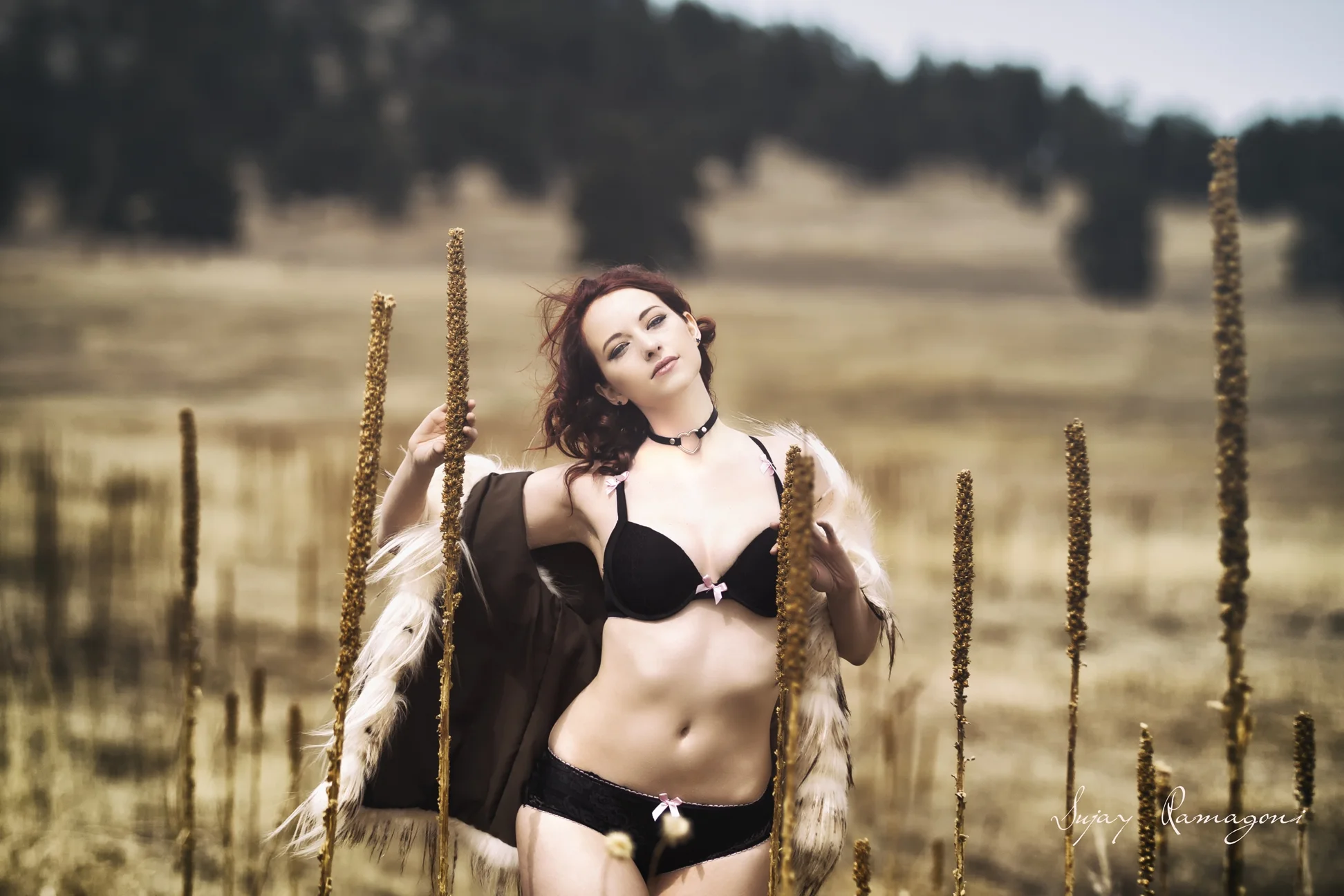 FUR_002.jpg