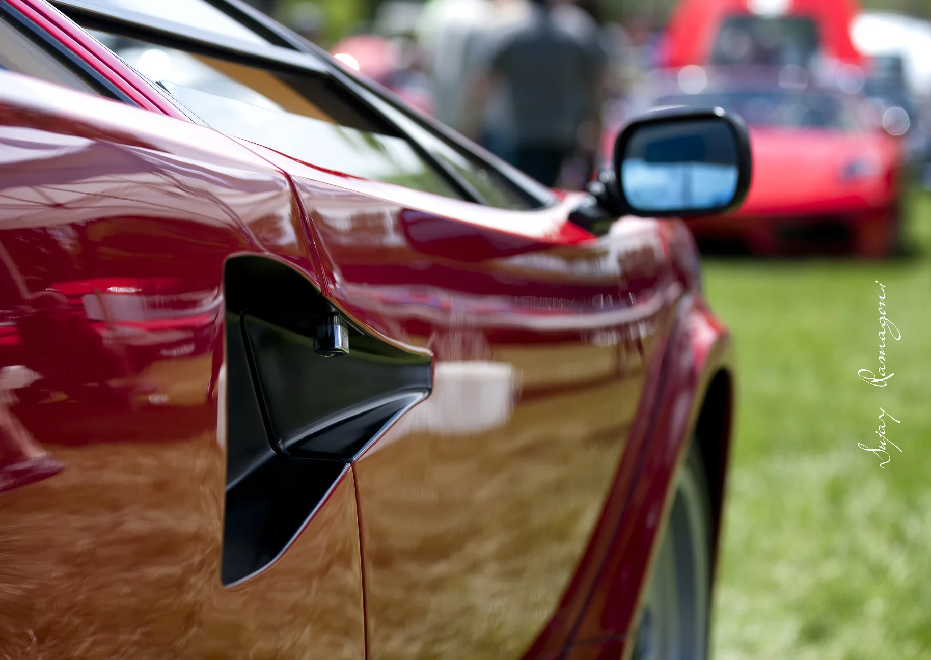 EXOTICS_008s.jpg