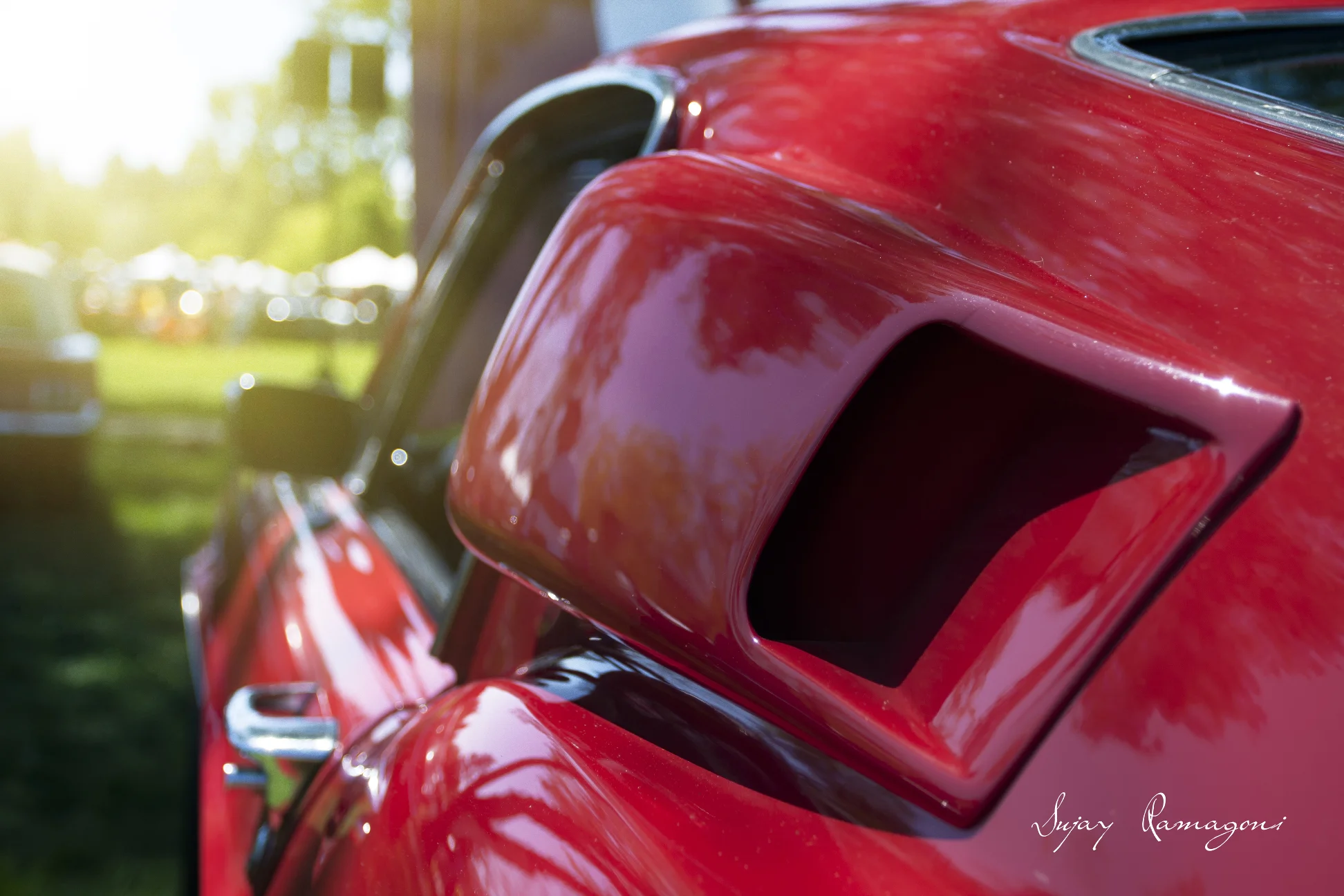 EXOTICS_011s.jpg