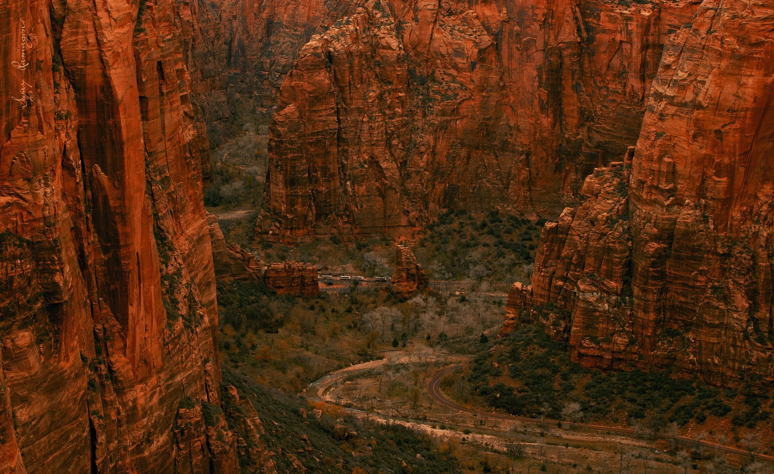 ZION_010M.jpg