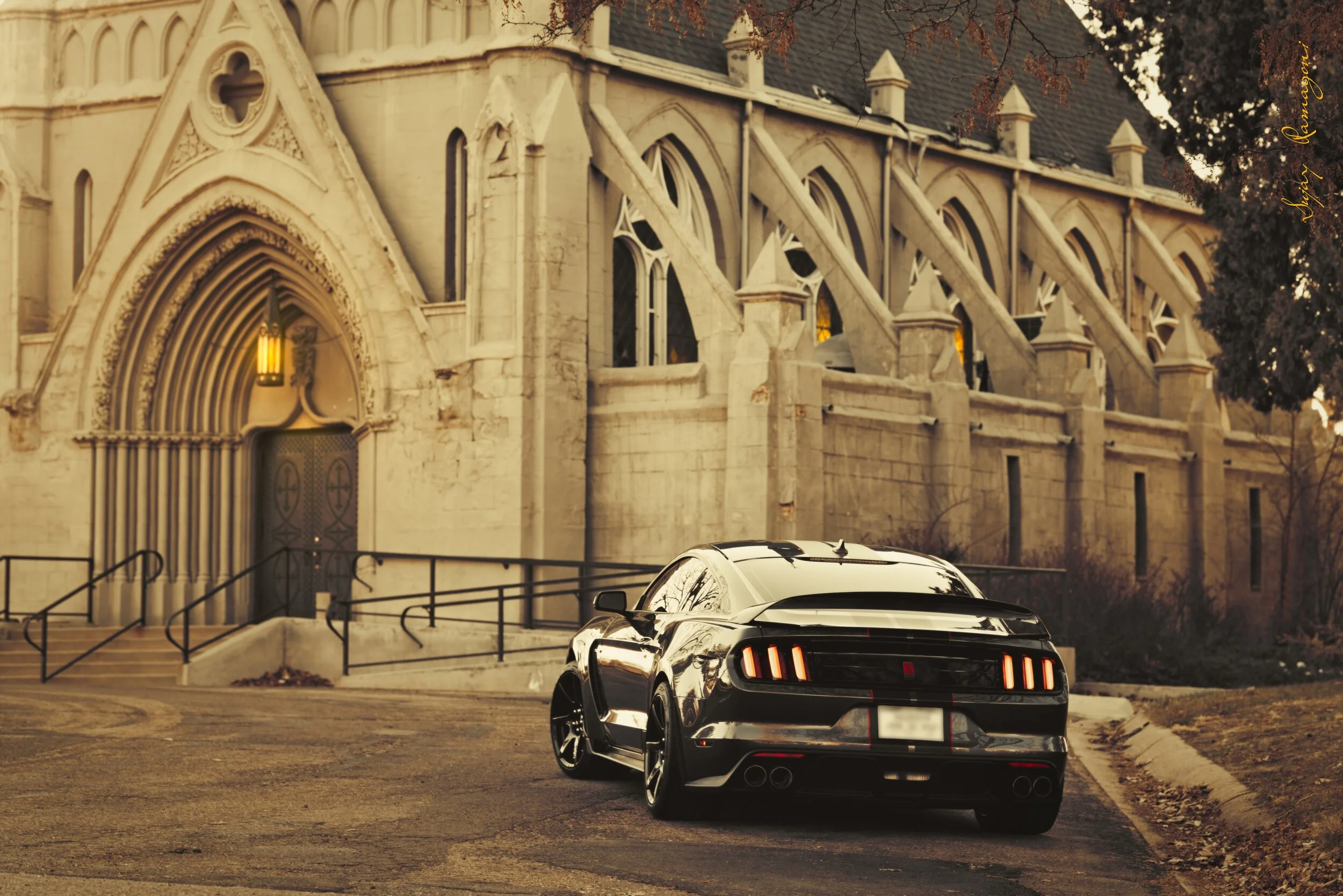 GT350R_005M.jpg