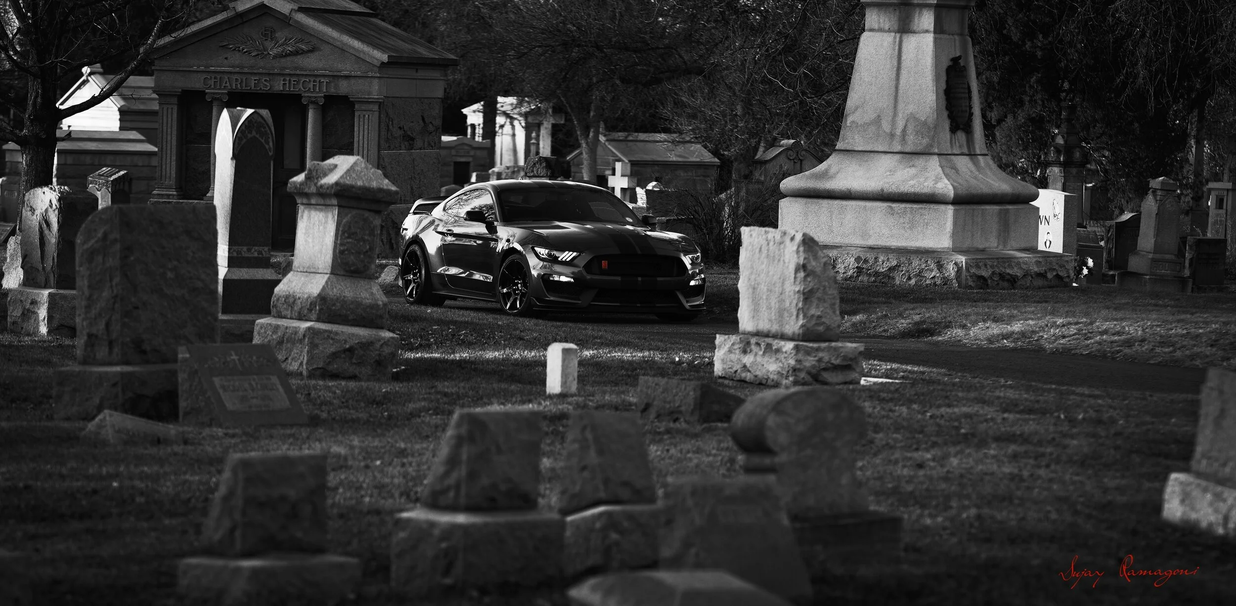 GT350R_005M.jpg