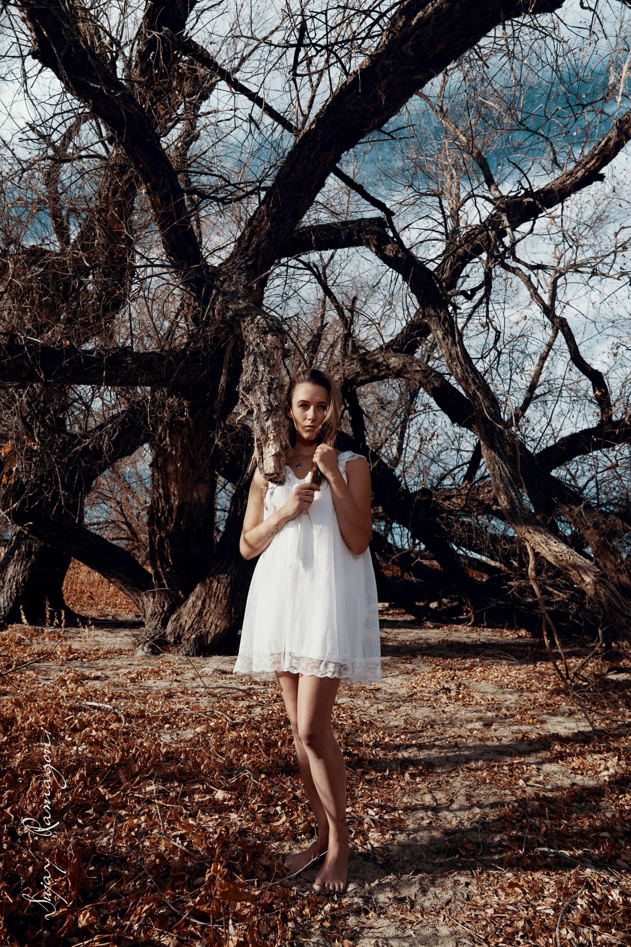 LEXIE_BARR_002M.jpg