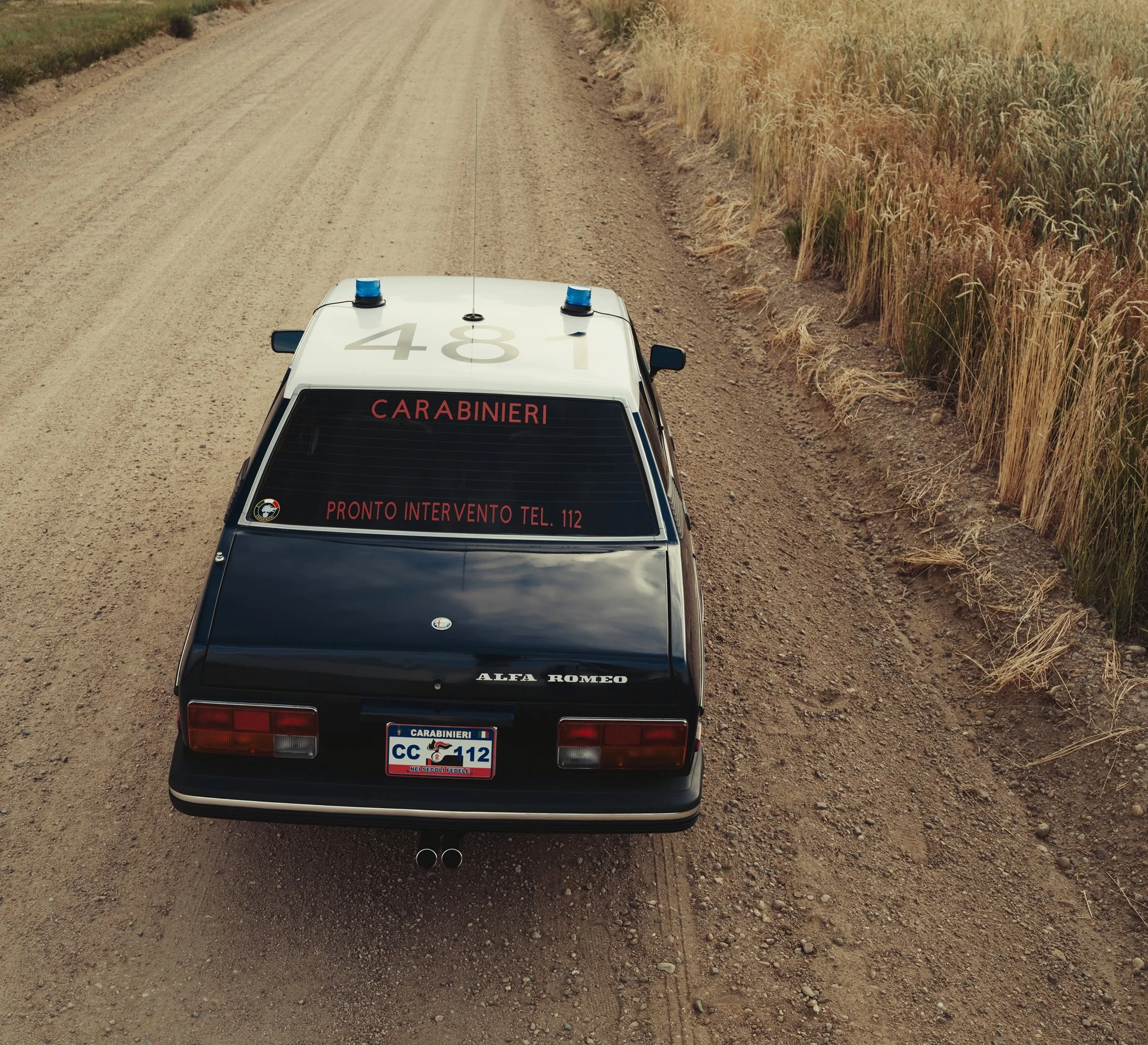 ALFETTA_008.jpg