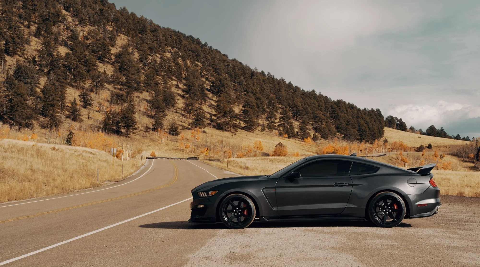 GT350R_24_001XS.jpg