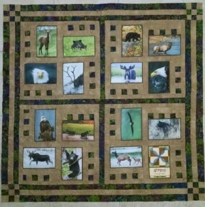 Pieced by Pat L., quilted by RM 2017