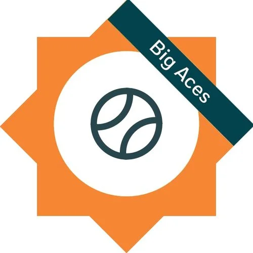BIGACES.jpg