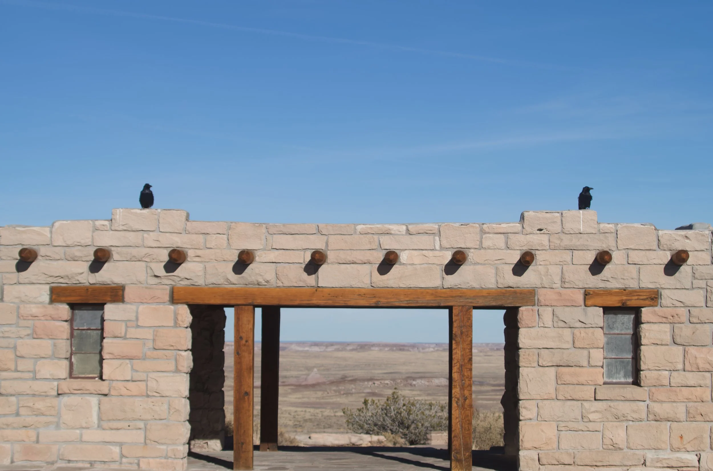crows.jpg